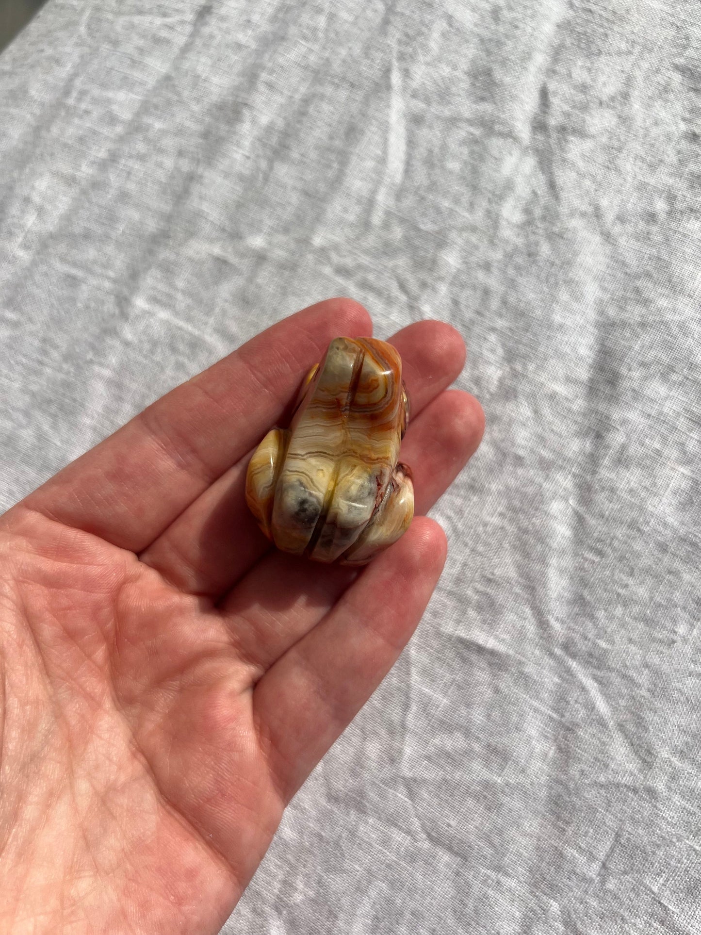 Gorgeous Crazy Lace Agate Toad Carving Mini