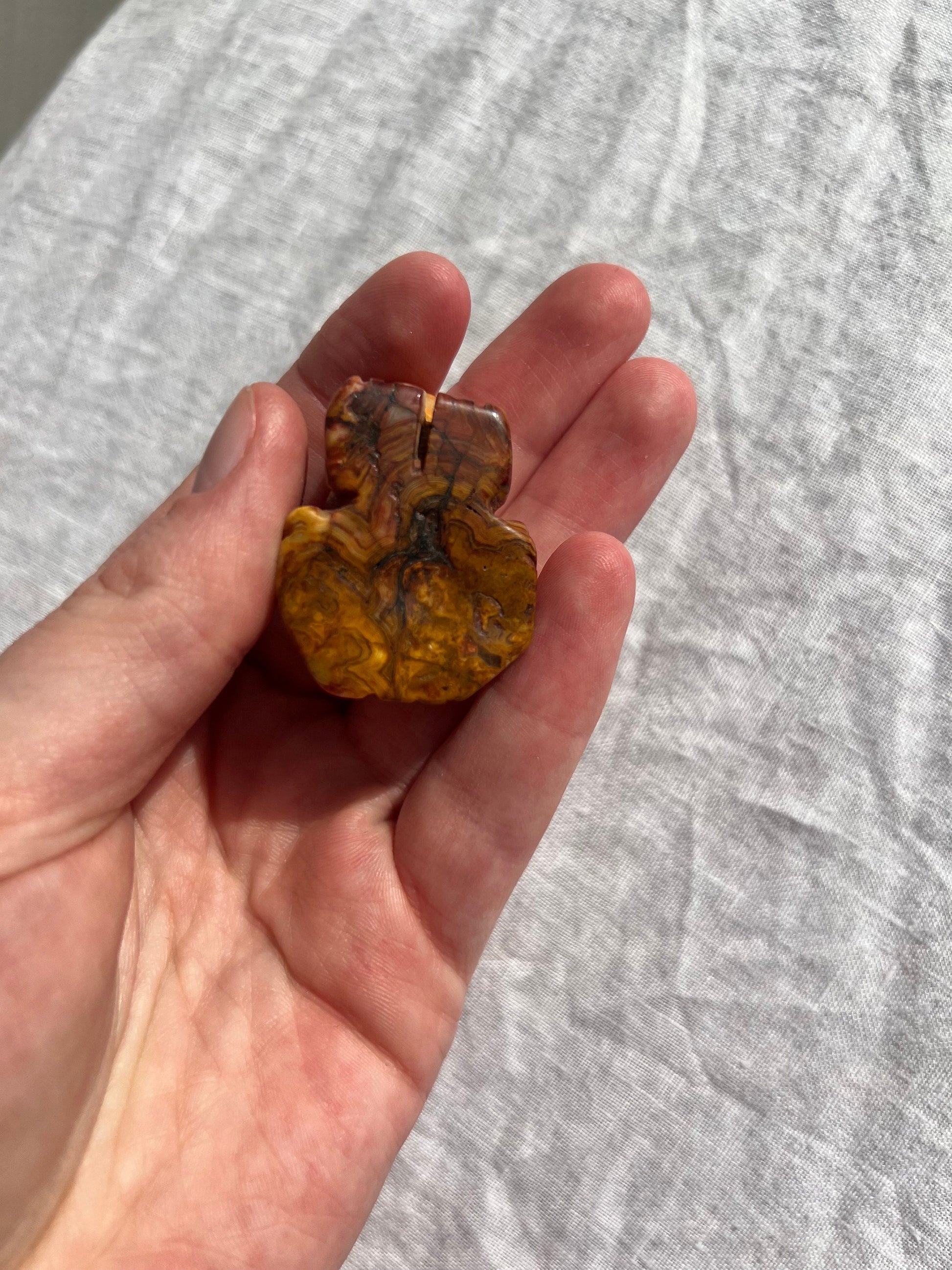 Gorgeous Crazy Lace Agate Toad Carving Mini