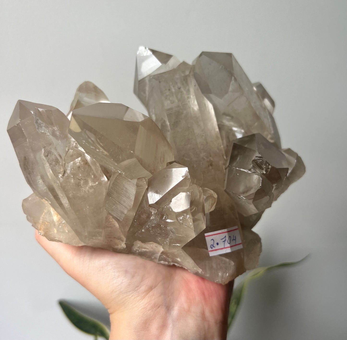 Stunning Large Smoky Lemurian Quartz Cluster from Brazil (2.704kg)