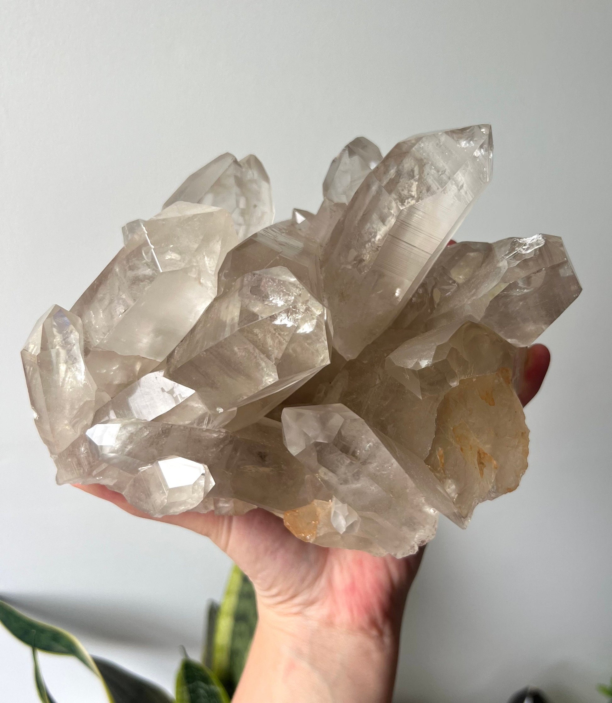 Stunning Large Smoky Lemurian Quartz Cluster from Brazil (2.704kg)