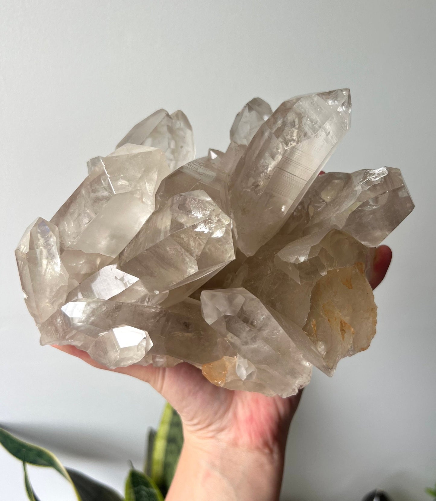Stunning Large Smoky Lemurian Quartz Cluster from Brazil (2.704kg)
