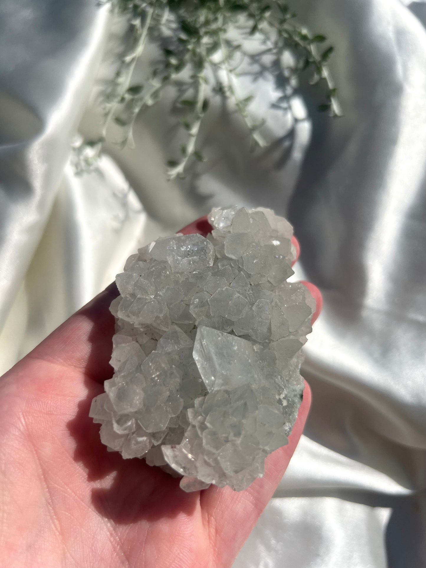 Stunning Raw Apophyllite Cluster on Chalcedony