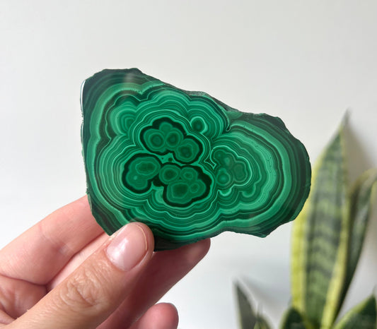 Gorgeous Malachite Mini Slab | Polished Banded Malachite Slice