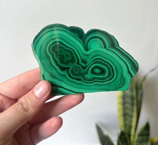 Gorgeous Malachite Mini Slab | Polished Banded Malachite Slice