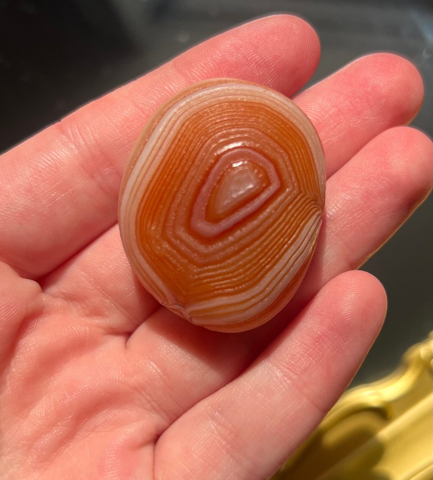 Unique Gobi Desert Agate Large Tumbled Nodules from Mongolia