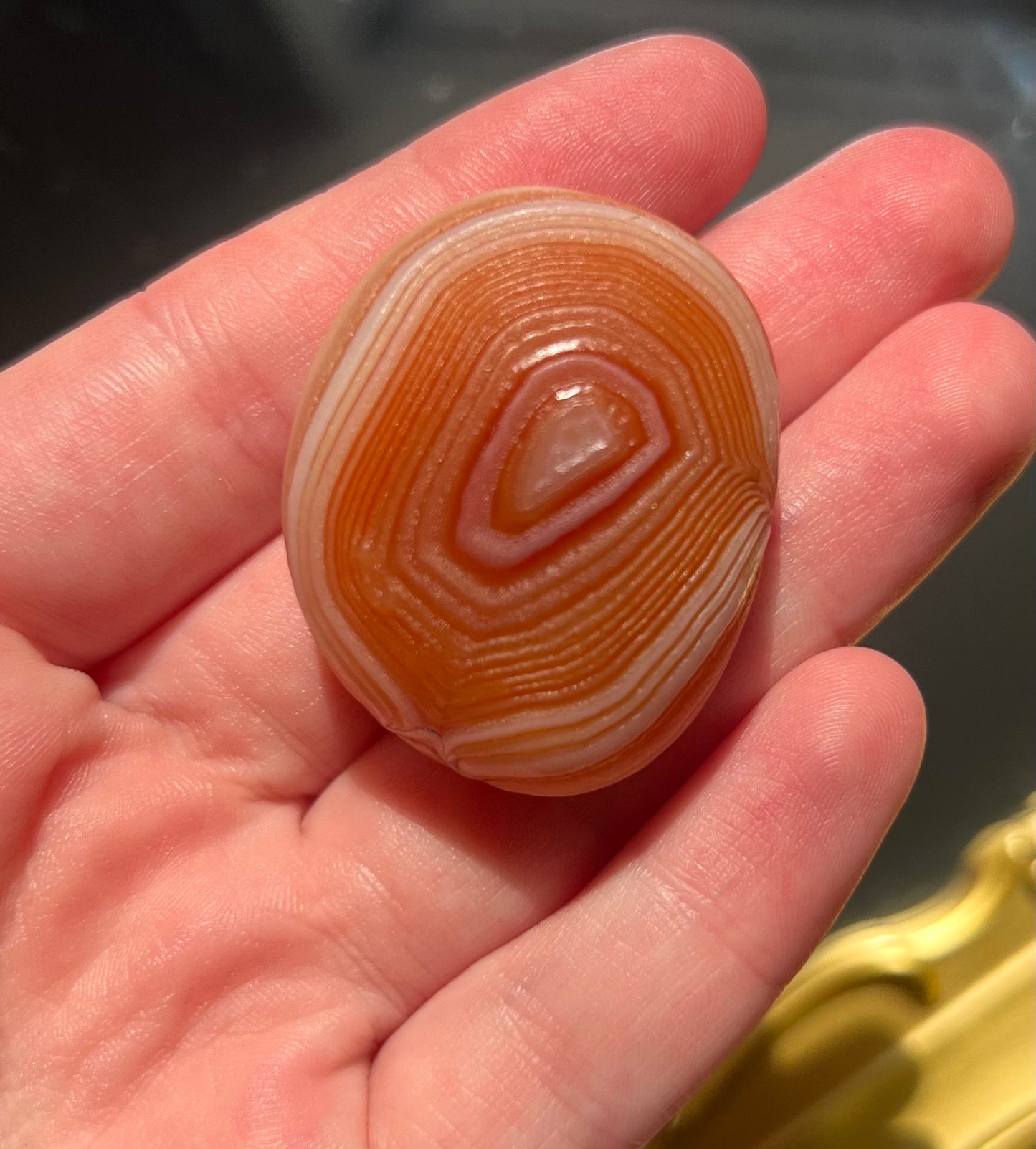 Unique Gobi Desert Agate Large Tumbled Nodules from Mongolia