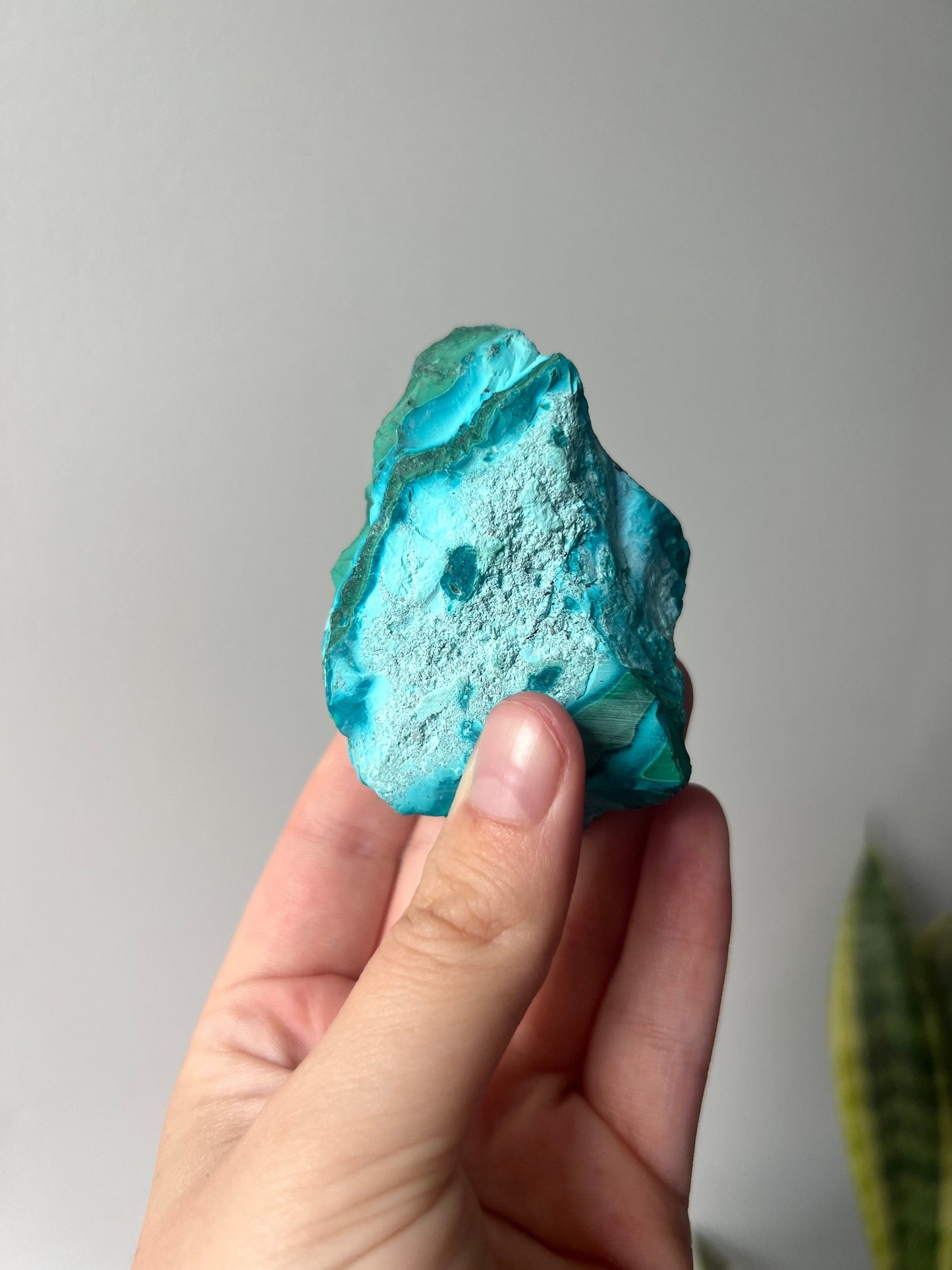 Gorgeous Chrysocolla Malachite Semi-Polished Specimen | Malachola Specimen Raw Semi Polished
