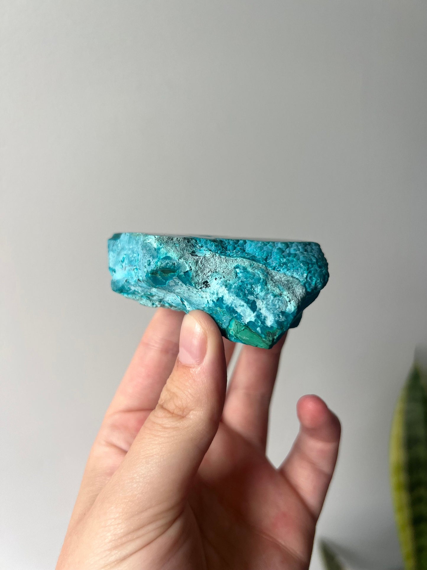 Gorgeous Chrysocolla Malachite Semi-Polished Specimen | Malachola Specimen Raw Semi Polished