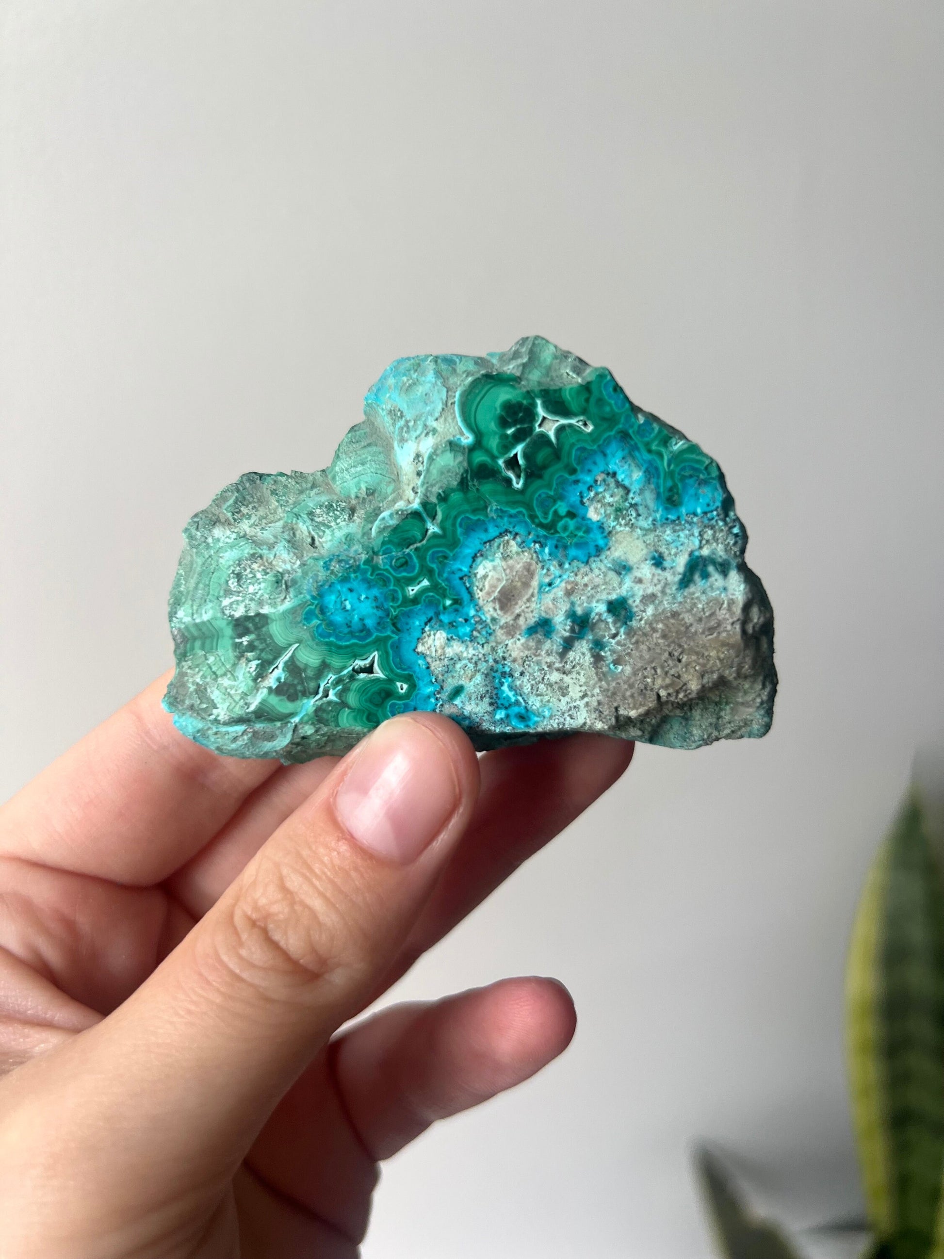 Gorgeous Malachite on Chrysocolla Mini Slab | Malachola Chrysocolla Malachite Slice