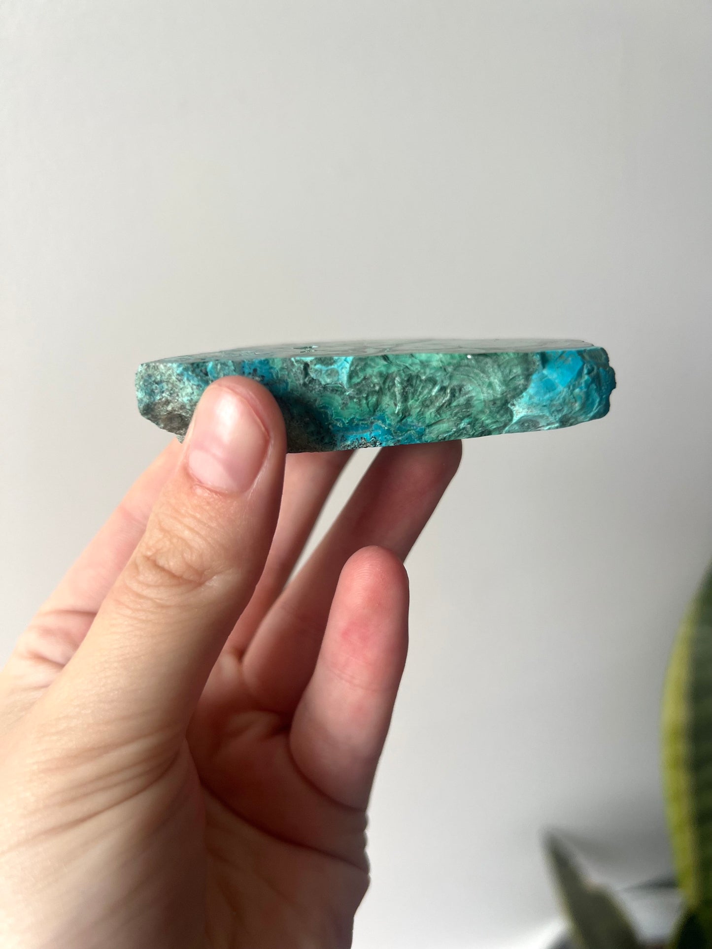 Gorgeous Malachite on Chrysocolla Mini Slab | Malachola Chrysocolla Malachite Slice