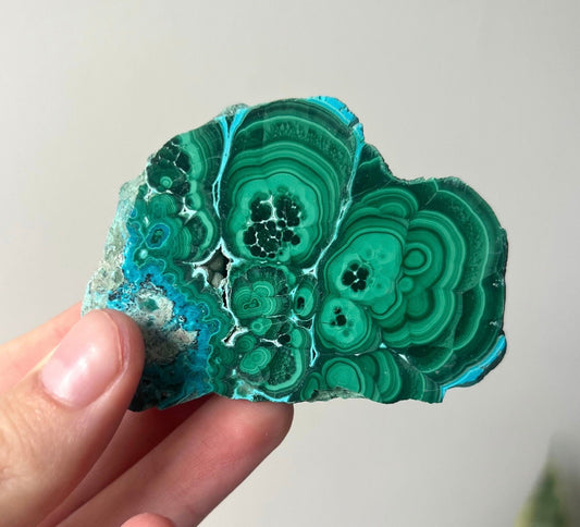 Gorgeous Malachite on Chrysocolla Mini Slab | Malachola Chrysocolla Malachite Slice