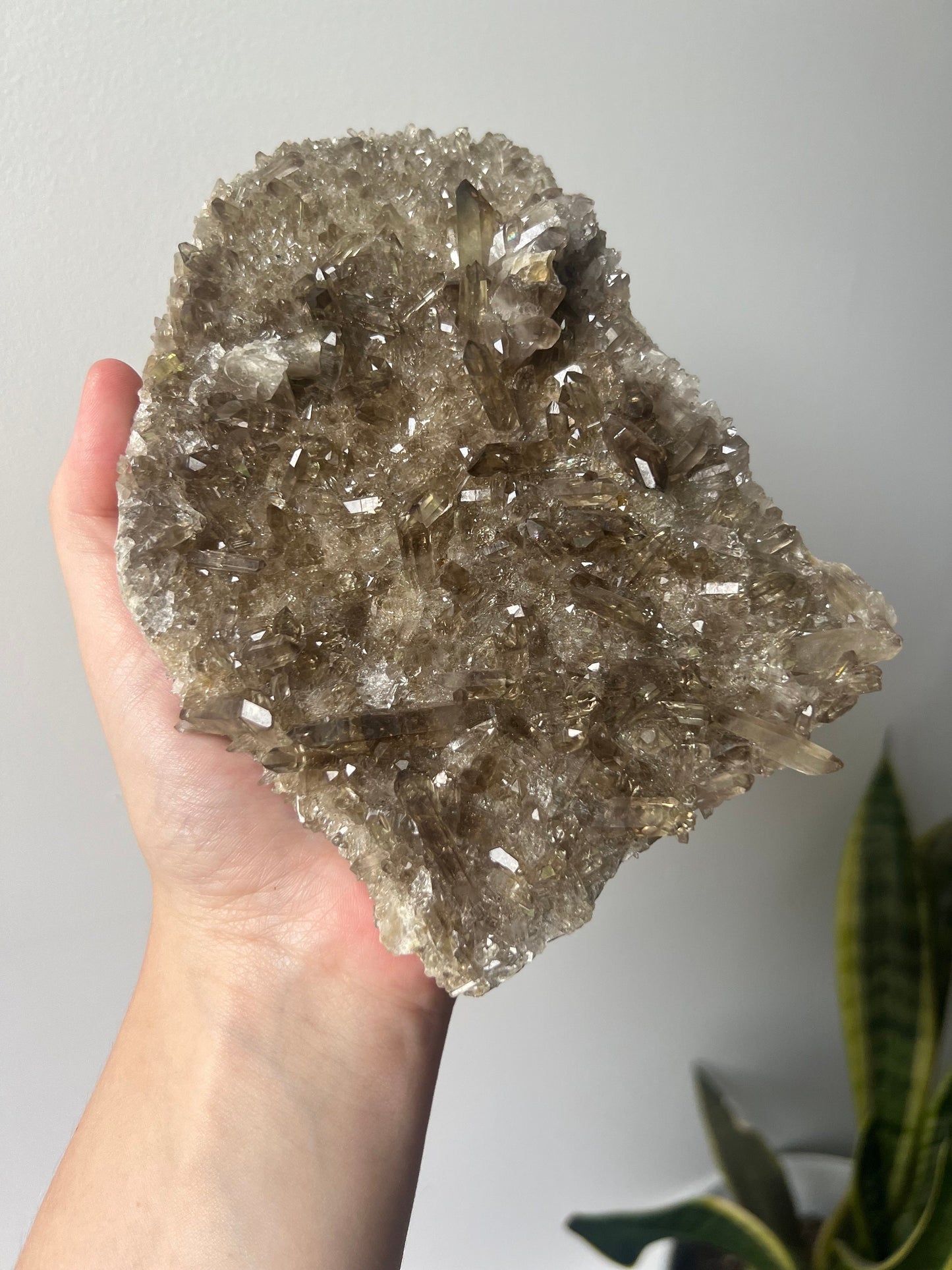 STUNNING Smoky Quartz Cluster with Small Points | Coffee Table Smoky Quartz Slab