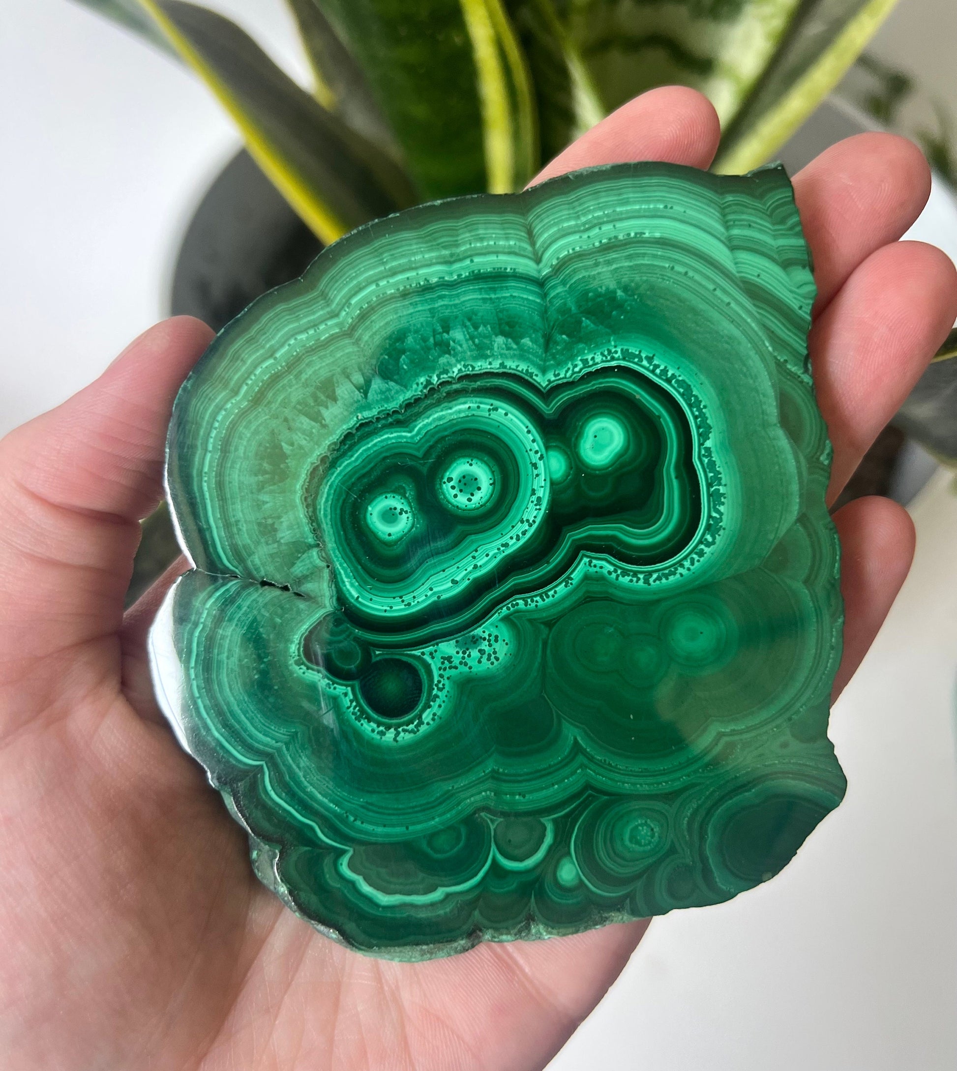 Gorgeous Malachite Mini Slab | Polished Banded Malachite Slice