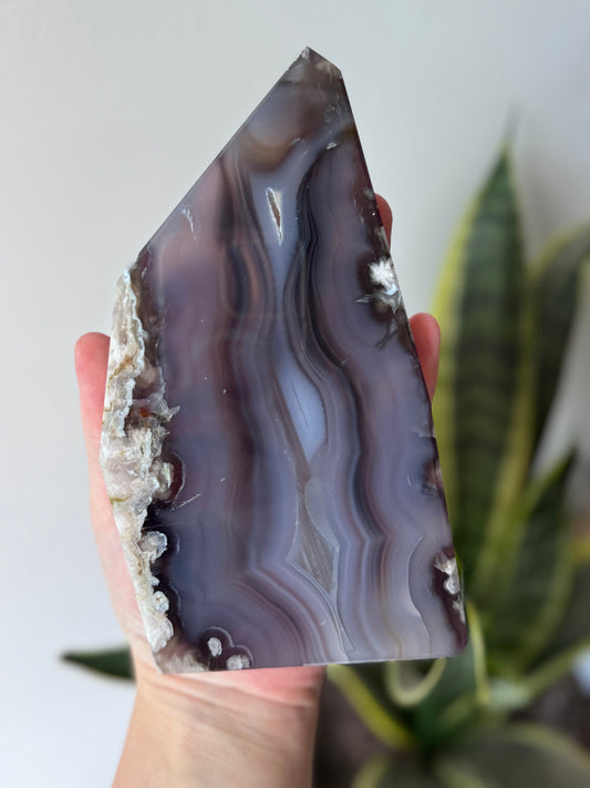 High Quality Blue Flower Agate Slab | AAA Blue and Black Flower Agate Slice