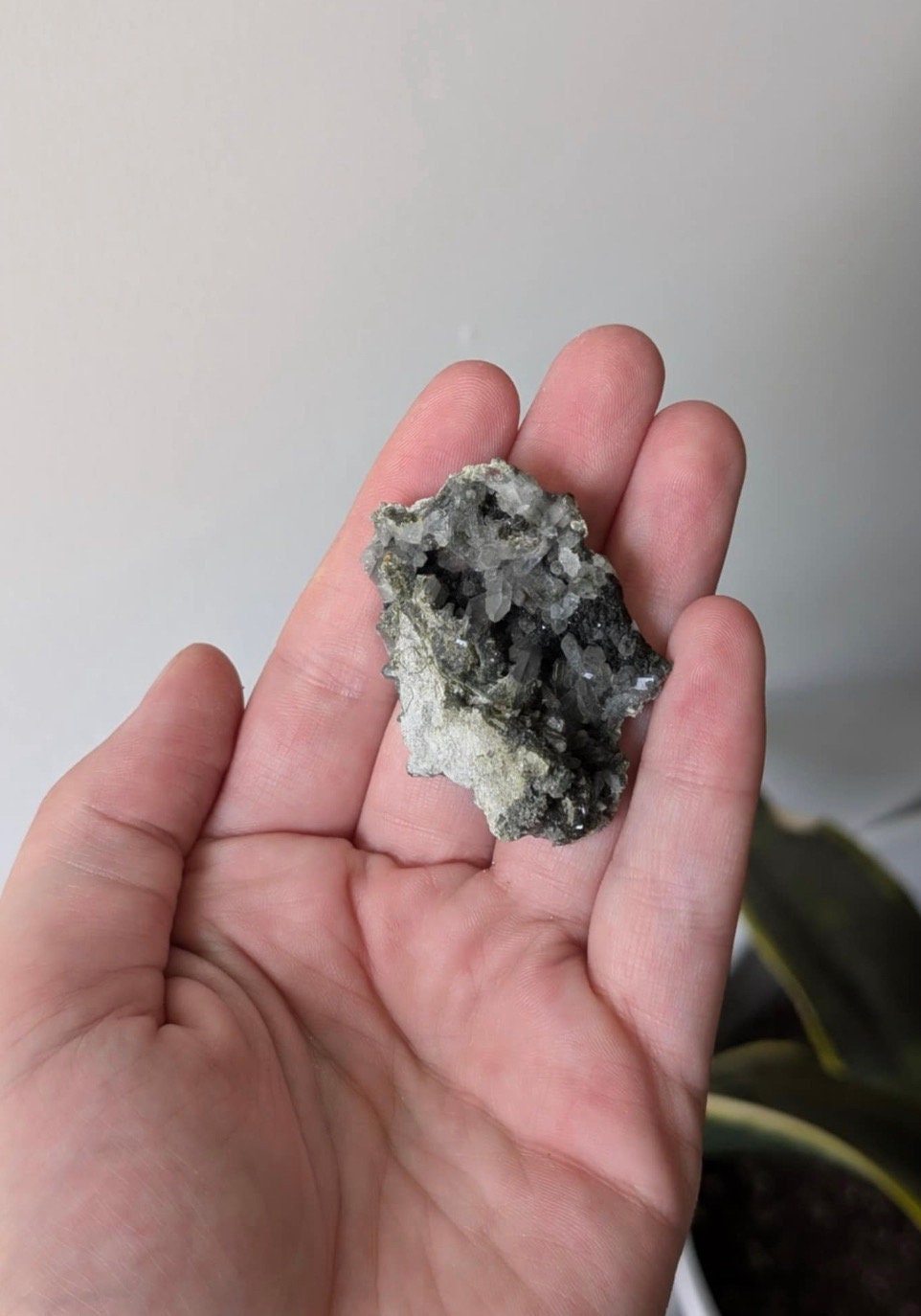 Gorgeous Epidote on Quartz Specimen Cluster