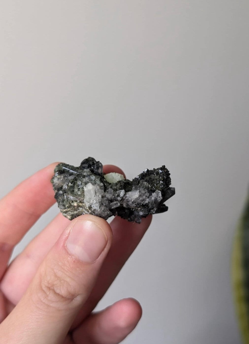 Gorgeous Epidote on Quartz Specimen Cluster