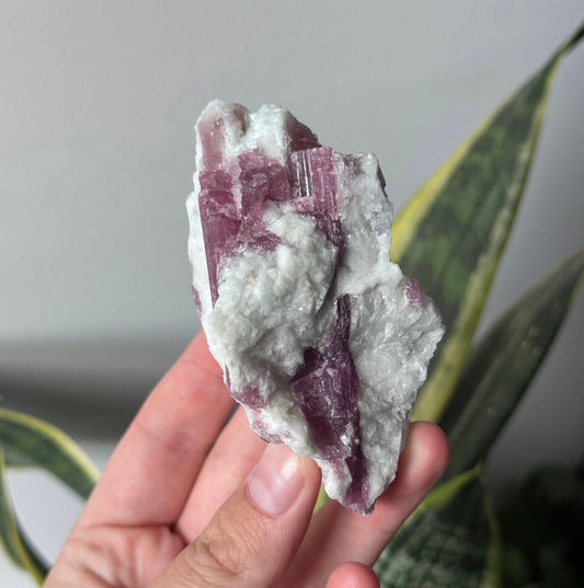 Gorgeous Pink Tourmaline on Albite with Aquamarine Specimen from Brazil