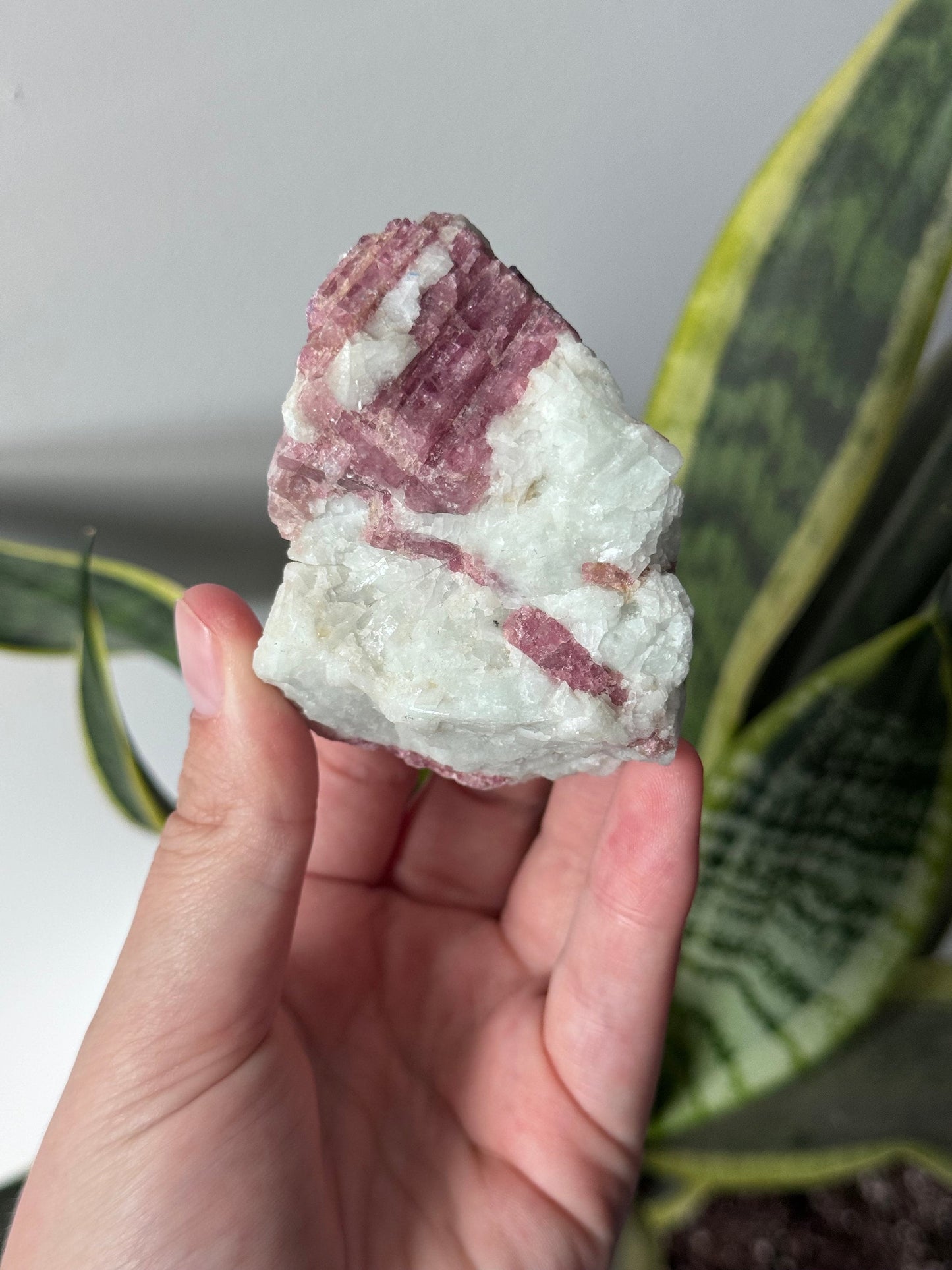 Gorgeous Pink Tourmaline on Albite with Aquamarine Specimen from Brazil