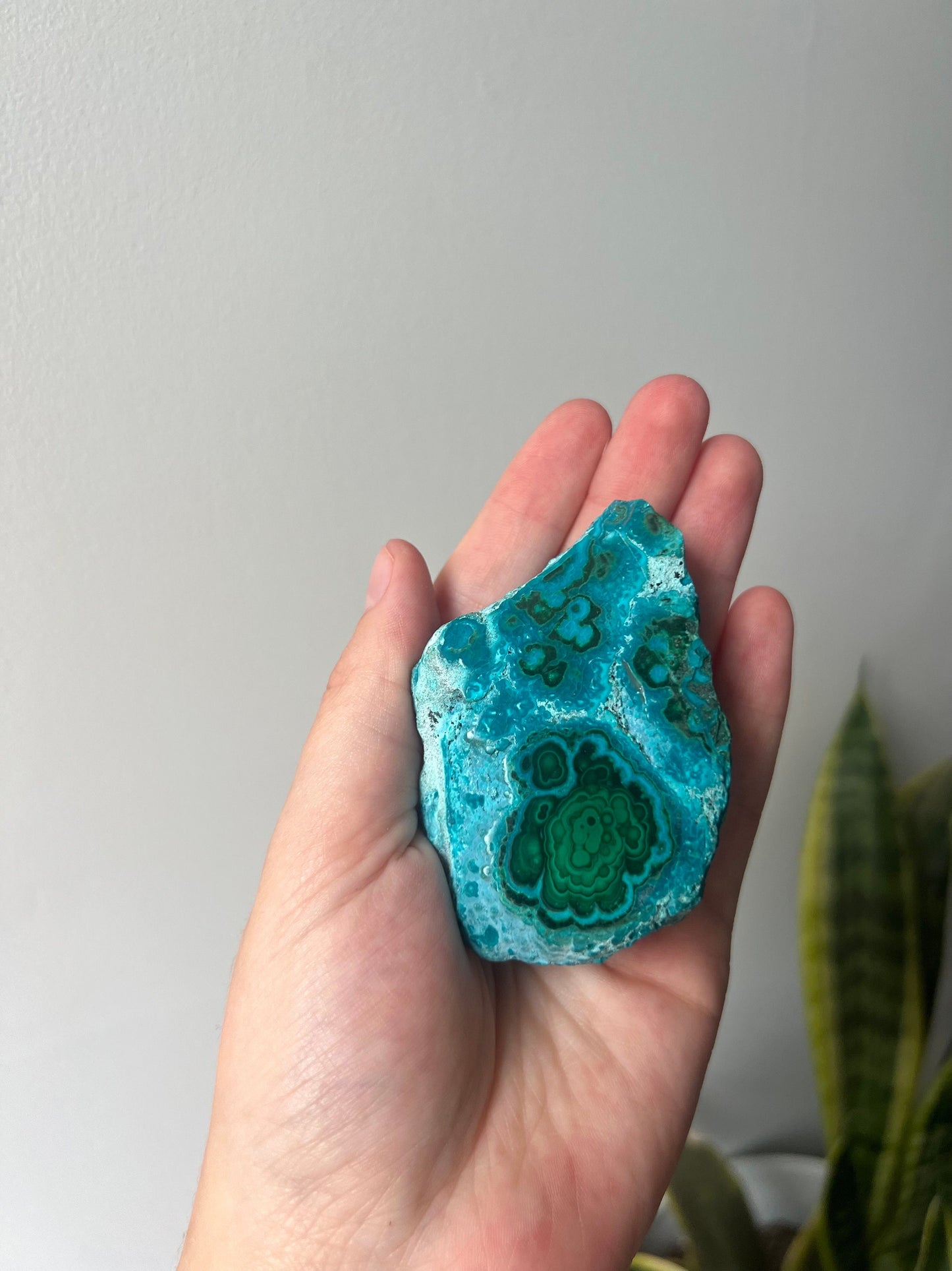 Gorgeous Chrysocolla Malachite Semi-Polished Specimen | Malachola Specimen Raw Semi Polished