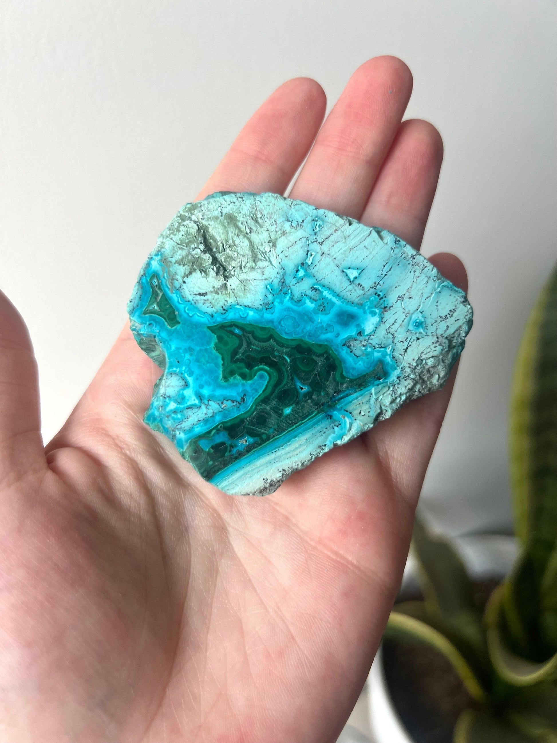 Gorgeous Malachite on Chrysocolla Mini Slab | Malachola Chrysocolla Malachite Slice