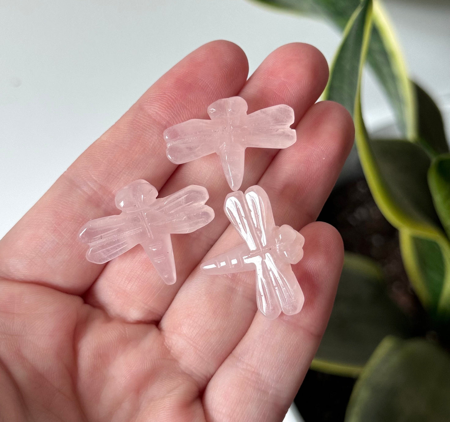 Gorgeous Mini Dragonfly Carvings Amazonite Rose Quartz Flower Agate Dragonflies