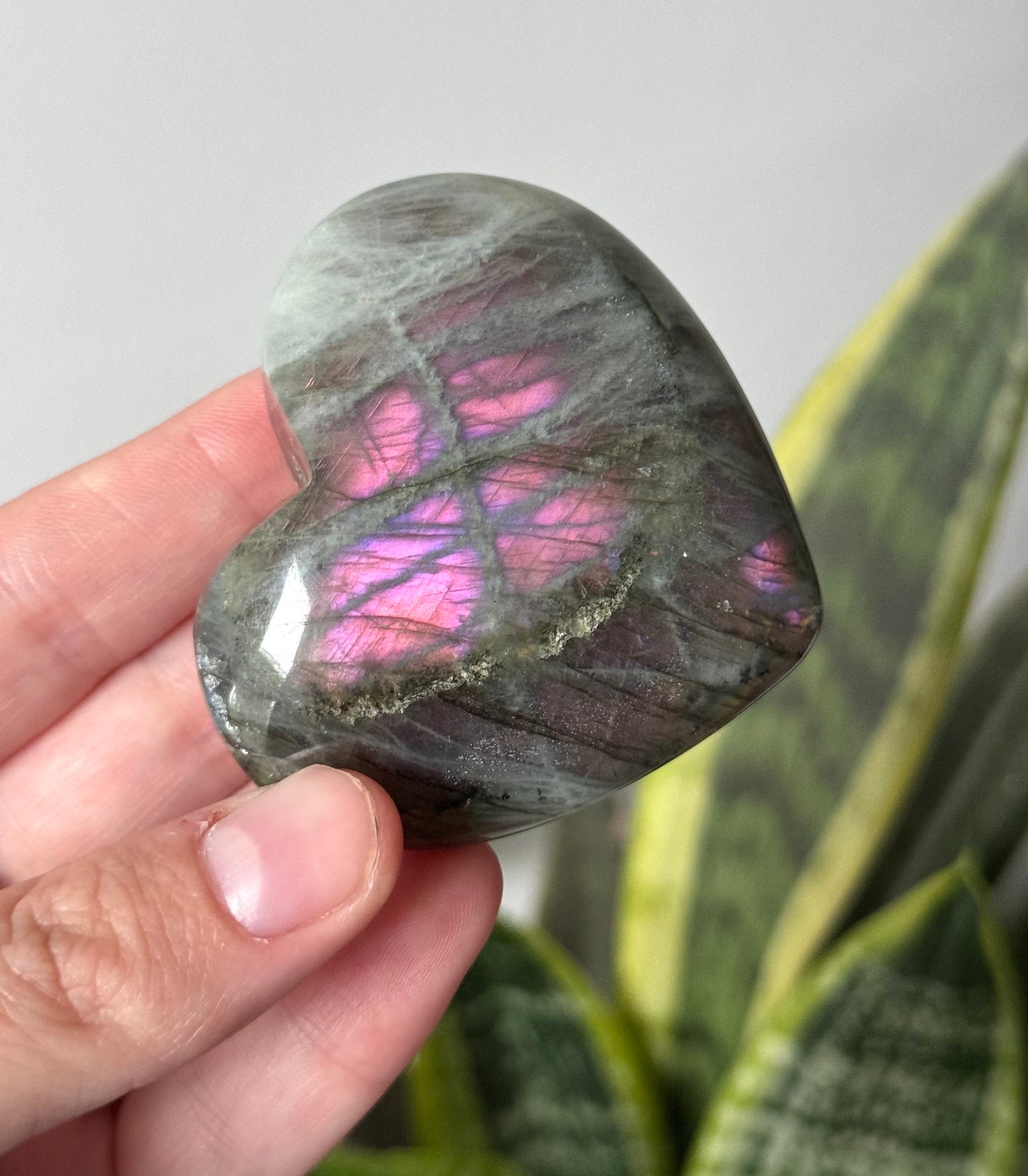 Gorgeous Sunset Labradorite Heart Carving | Pink Flash Labradorite Puffy Heart