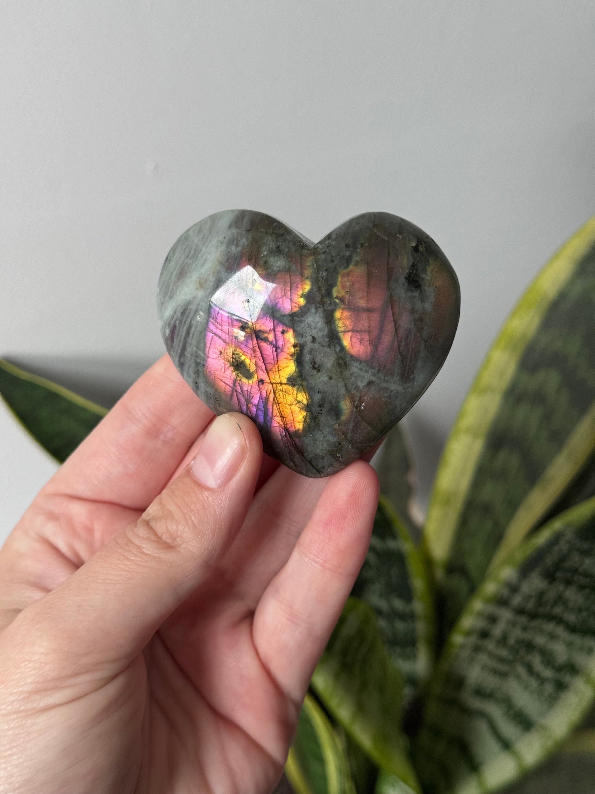 Gorgeous Sunset Labradorite Heart Carving | Pink Flash Labradorite Puffy Heart