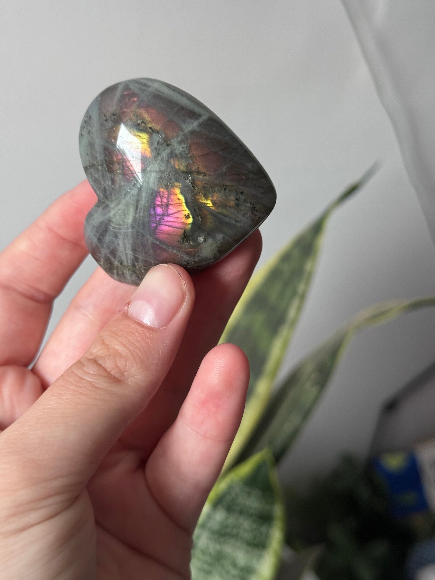 Gorgeous Sunset Labradorite Heart Carving | Pink Flash Labradorite Puffy Heart