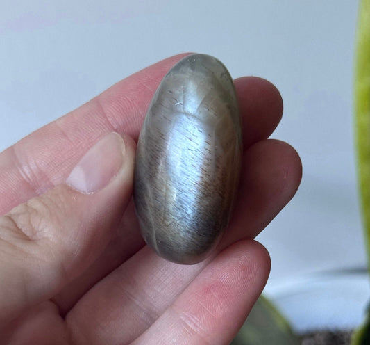 Gorgeous Chocolate Moonstone Shiva with White Flash | Brown Moonstone Oval