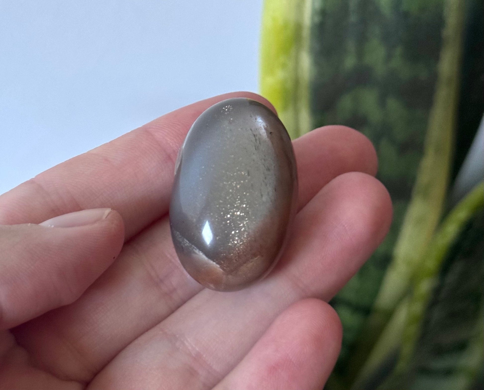 Gorgeous Chocolate Moonstone Shiva with White Flash | Brown Moonstone Oval