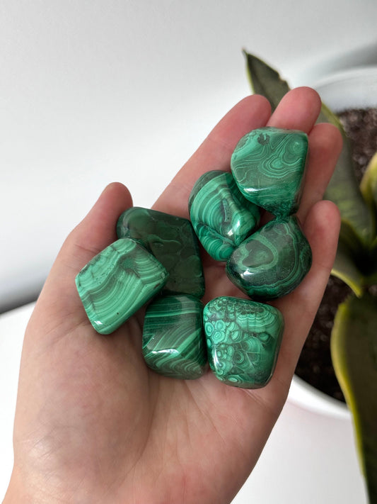 Beautiful Large Malachite Tumbled Stones | Banded Malachite Tumbles