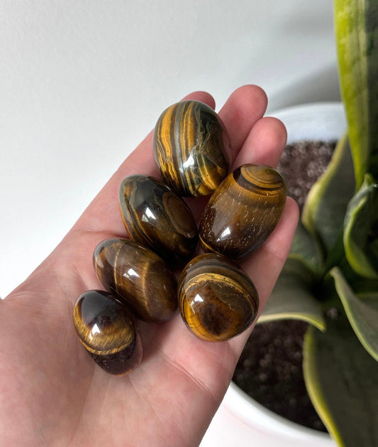 Large Tiger’s Eye Tumbled Stone | Flashy Tigers Eye Tumbles