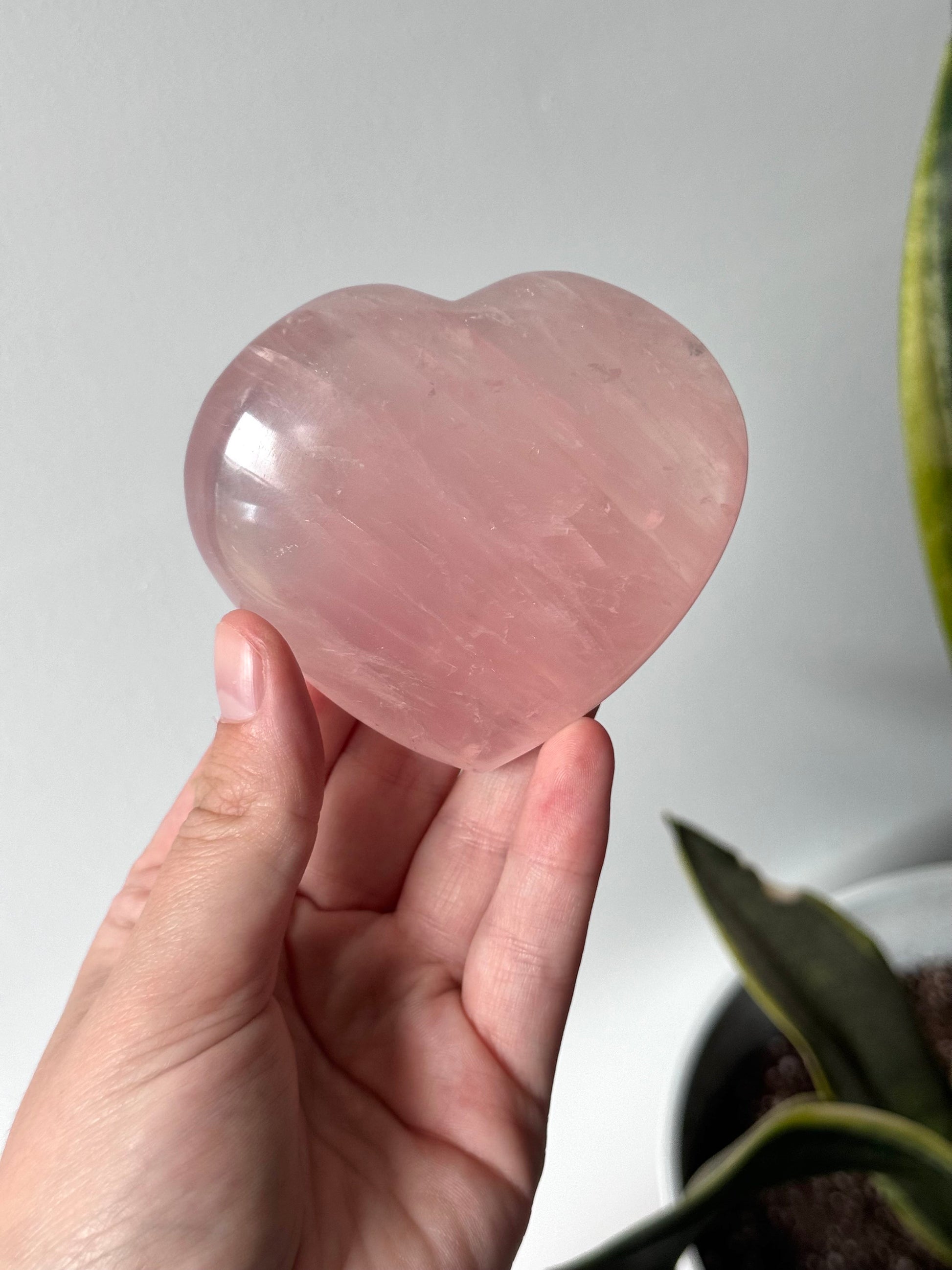 High Quality Rose Quartz Heart Carving with Star Flash | Gemmy Rose Quartz Puffy Heart Asterism