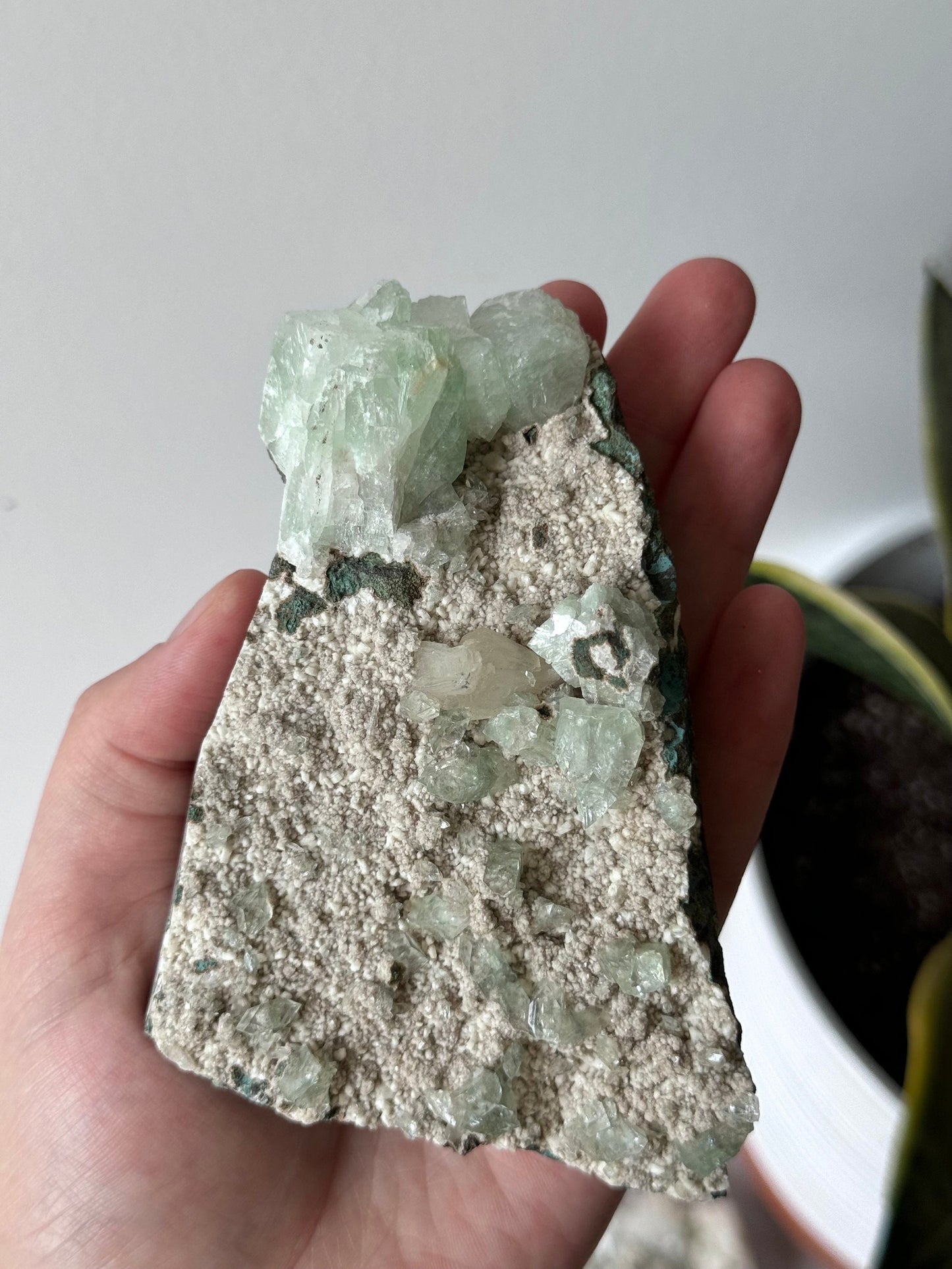 Stunning Green Apophyllite on Scolecite Specimen from India | Green Apophyllite on Scolecite Cluster