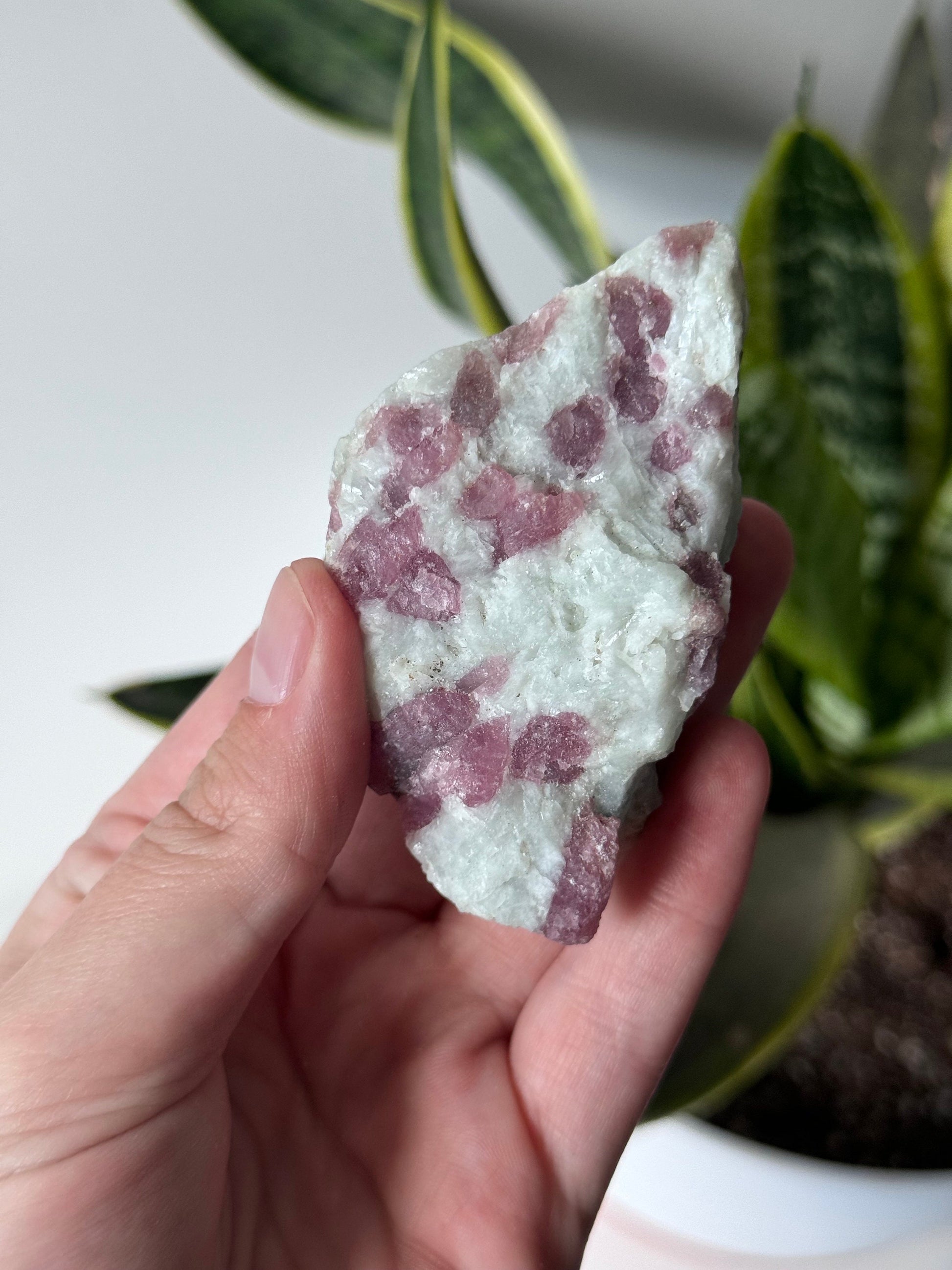 Gorgeous Pink Tourmaline on Albite with Aquamarine Specimen from Brazil