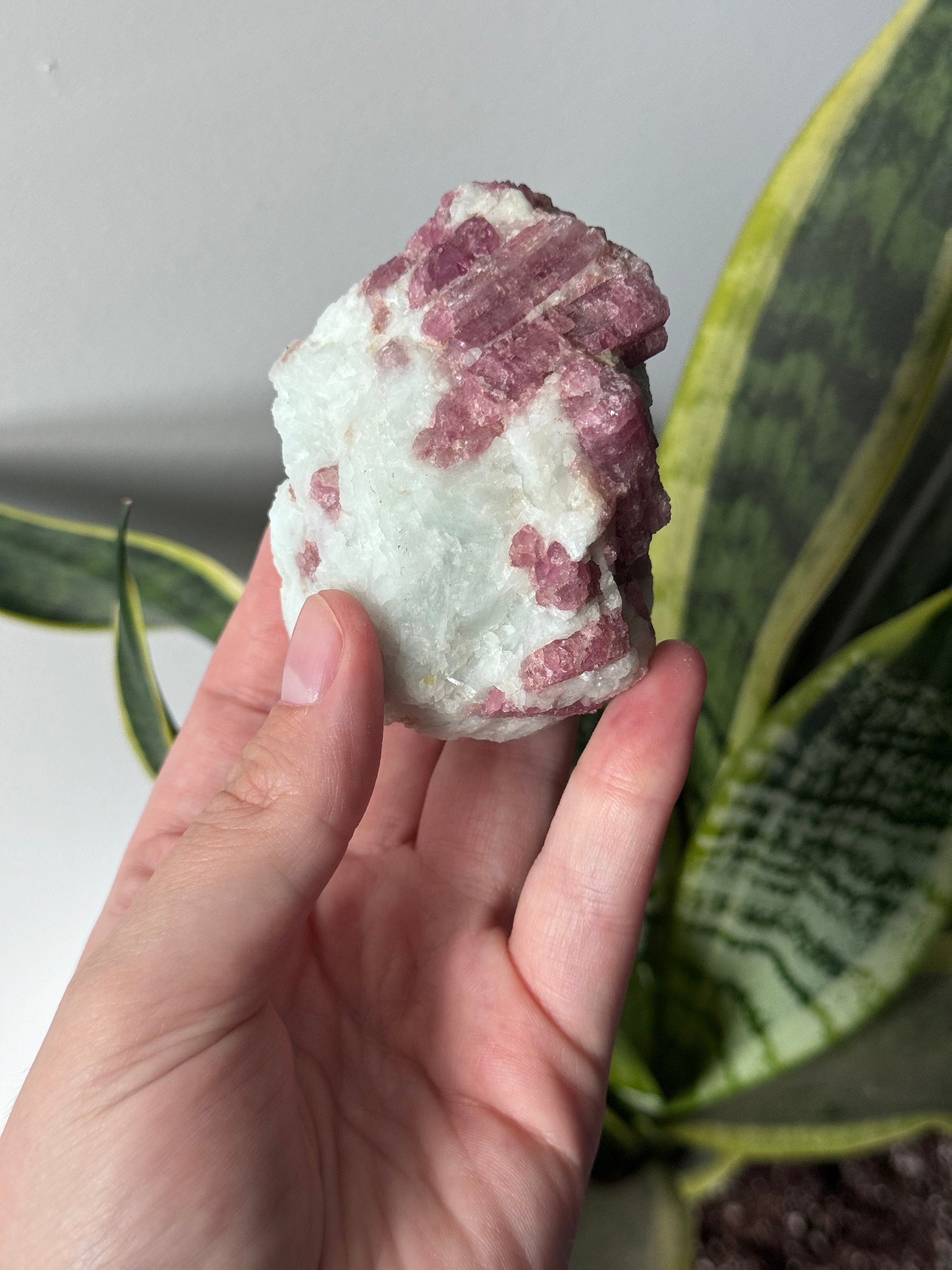 Gorgeous Pink Tourmaline on Albite with Aquamarine Specimen from Brazil