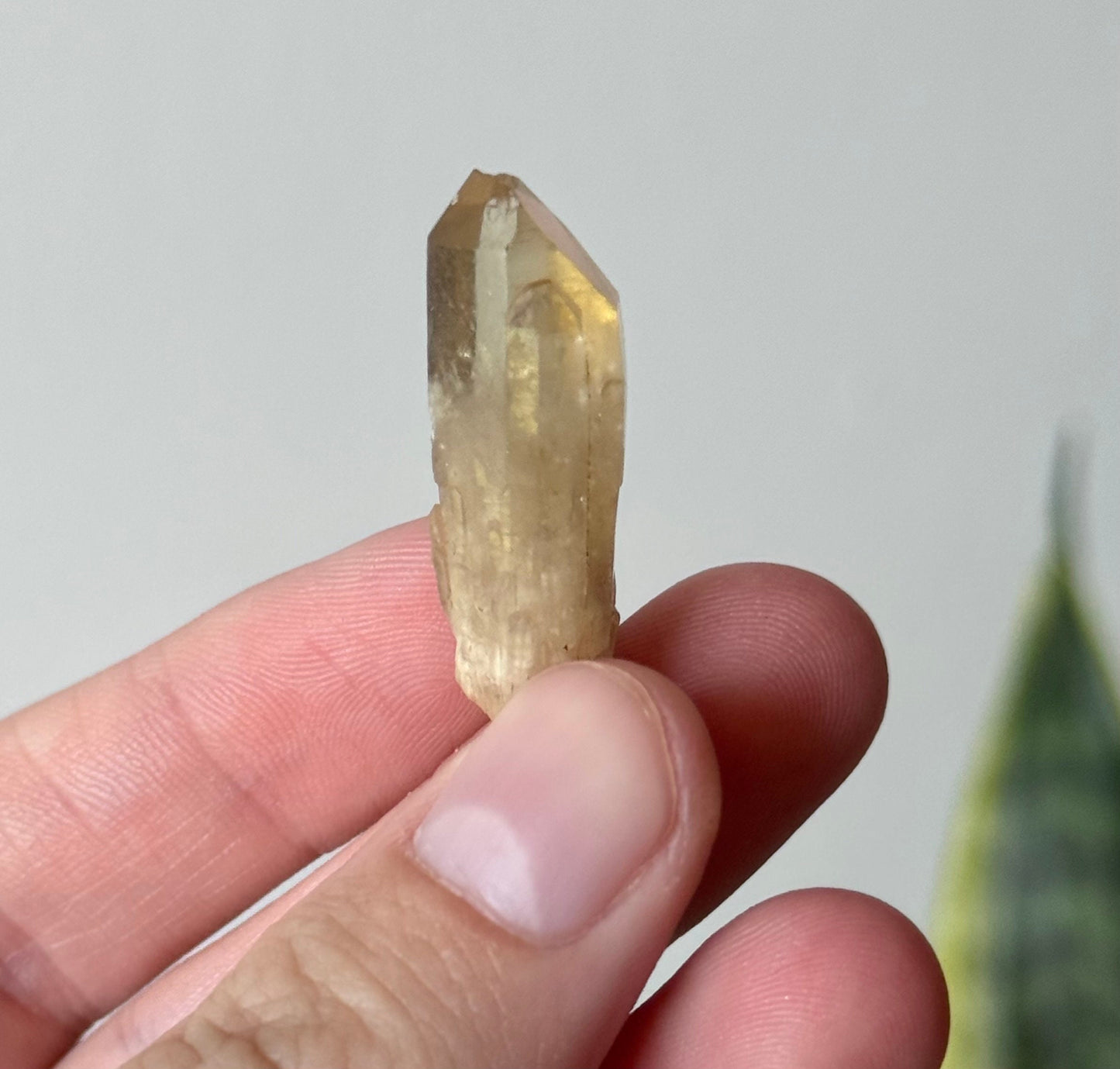 Beautiful Kundalini Citrine Point from Congo | Small Kundalini Citrine Elestial