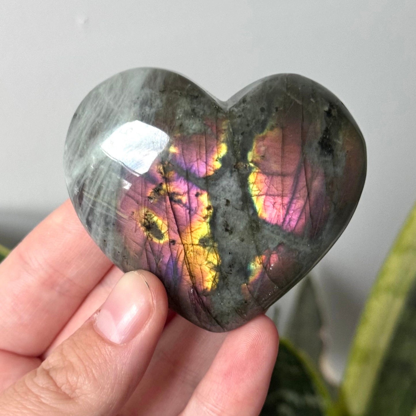 Gorgeous Sunset Labradorite Heart Carving | Pink Flash Labradorite Puffy Heart