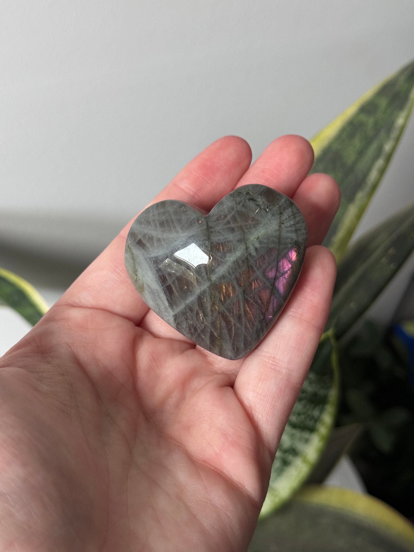 Gorgeous Sunset Labradorite Heart Carving | Pink Flash Labradorite Puffy Heart