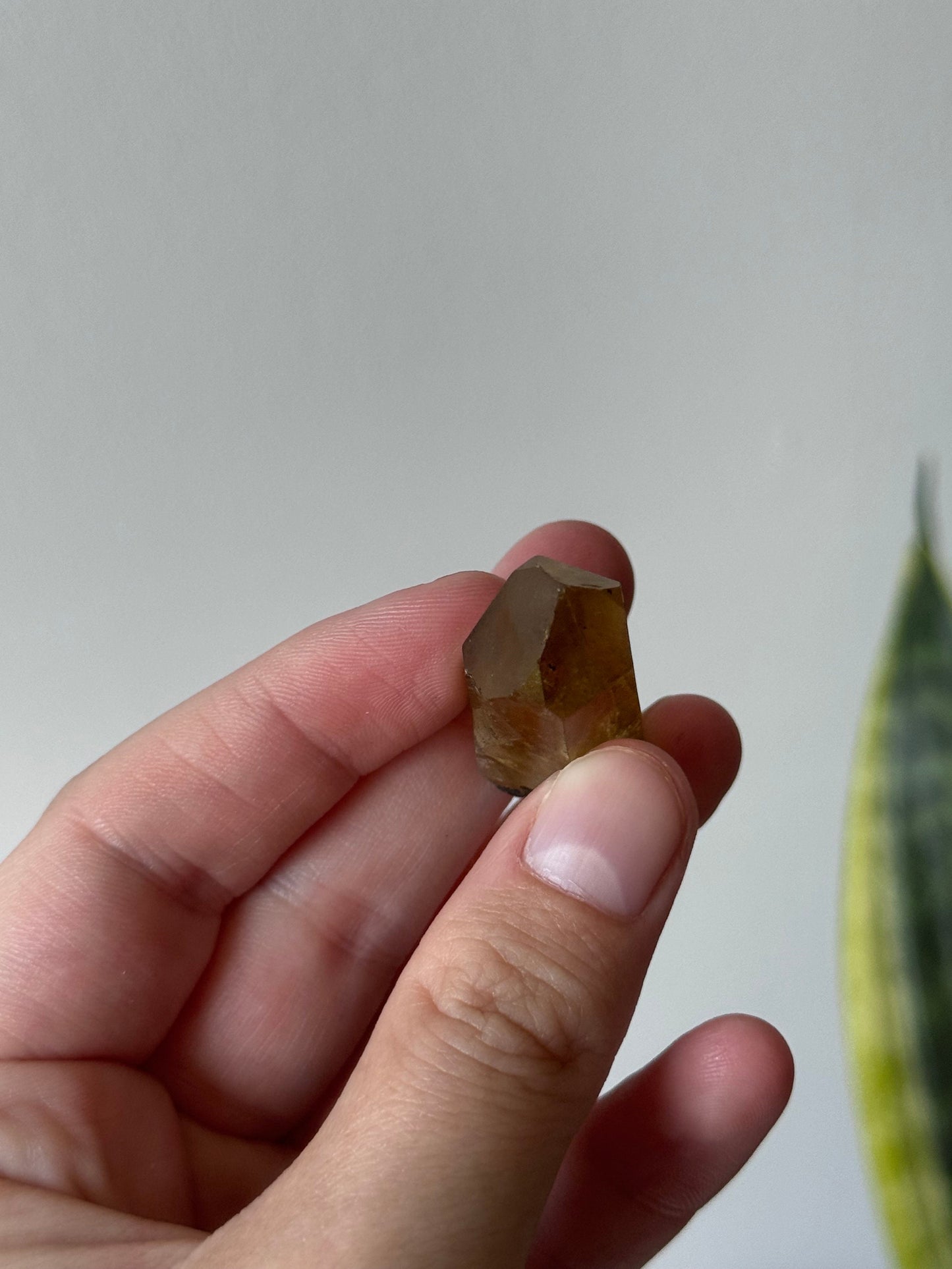 Gorgeous Raw Citrine Point from Brazil | Mini Natural Citrine Point