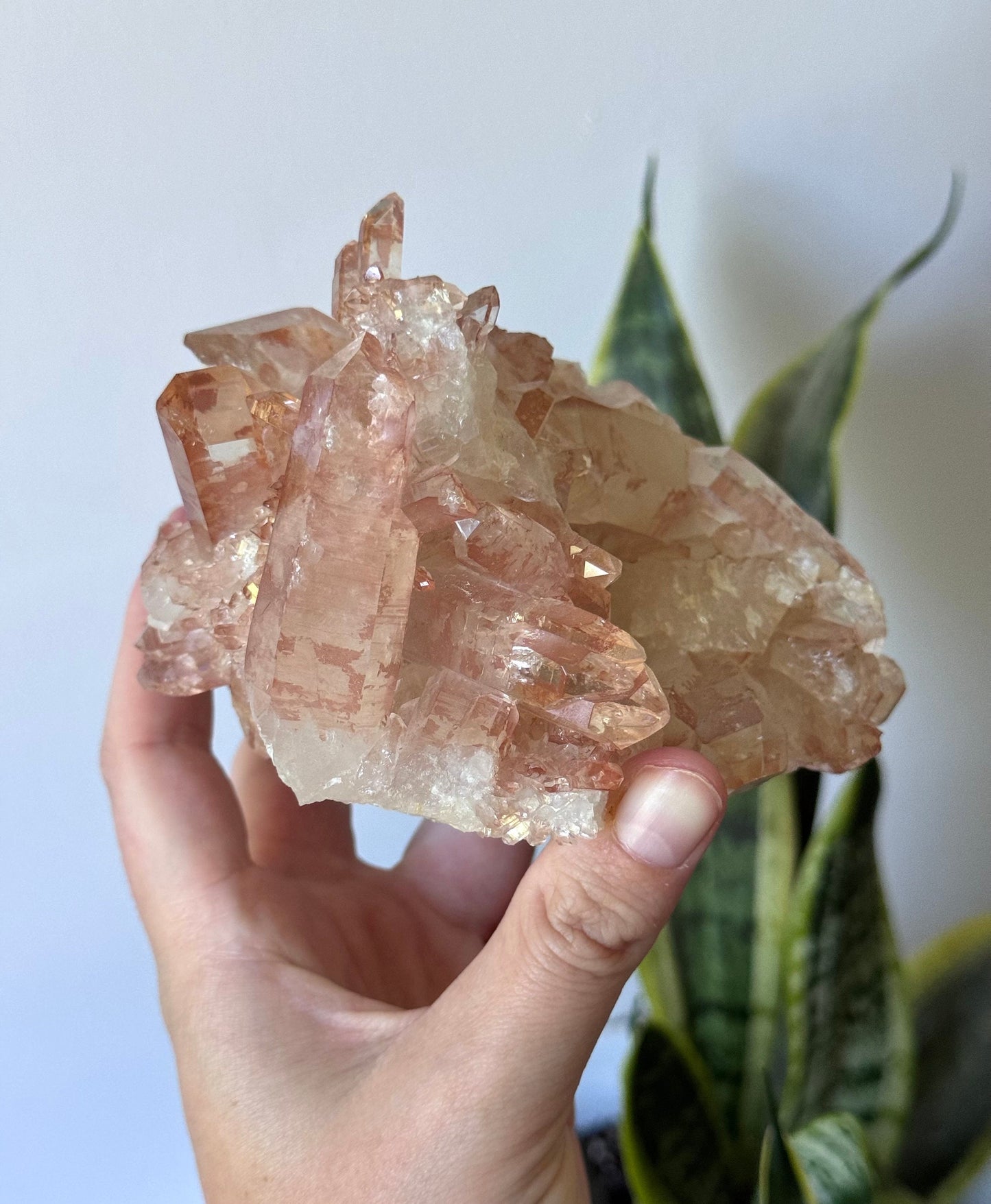 Rare High Quality Lithium Quartz Cluster from Brazil