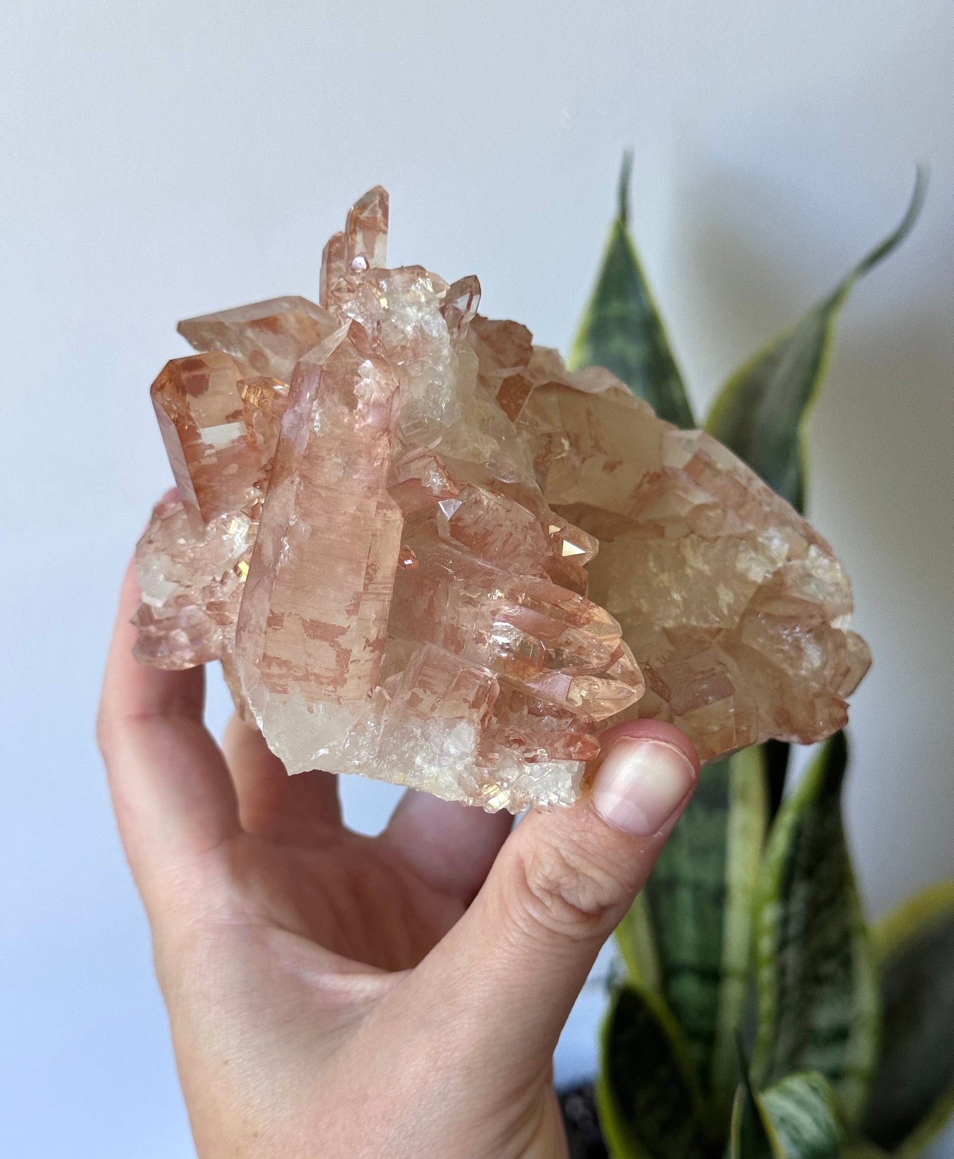 Rare High Quality Lithium Quartz Cluster from Brazil