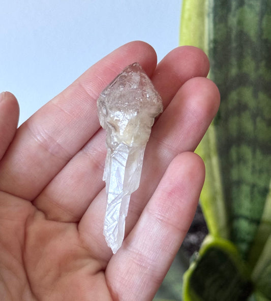 Beautiful Pink Lithium Scepter Point from Brazil | Red Capped Lithium Scepter Root