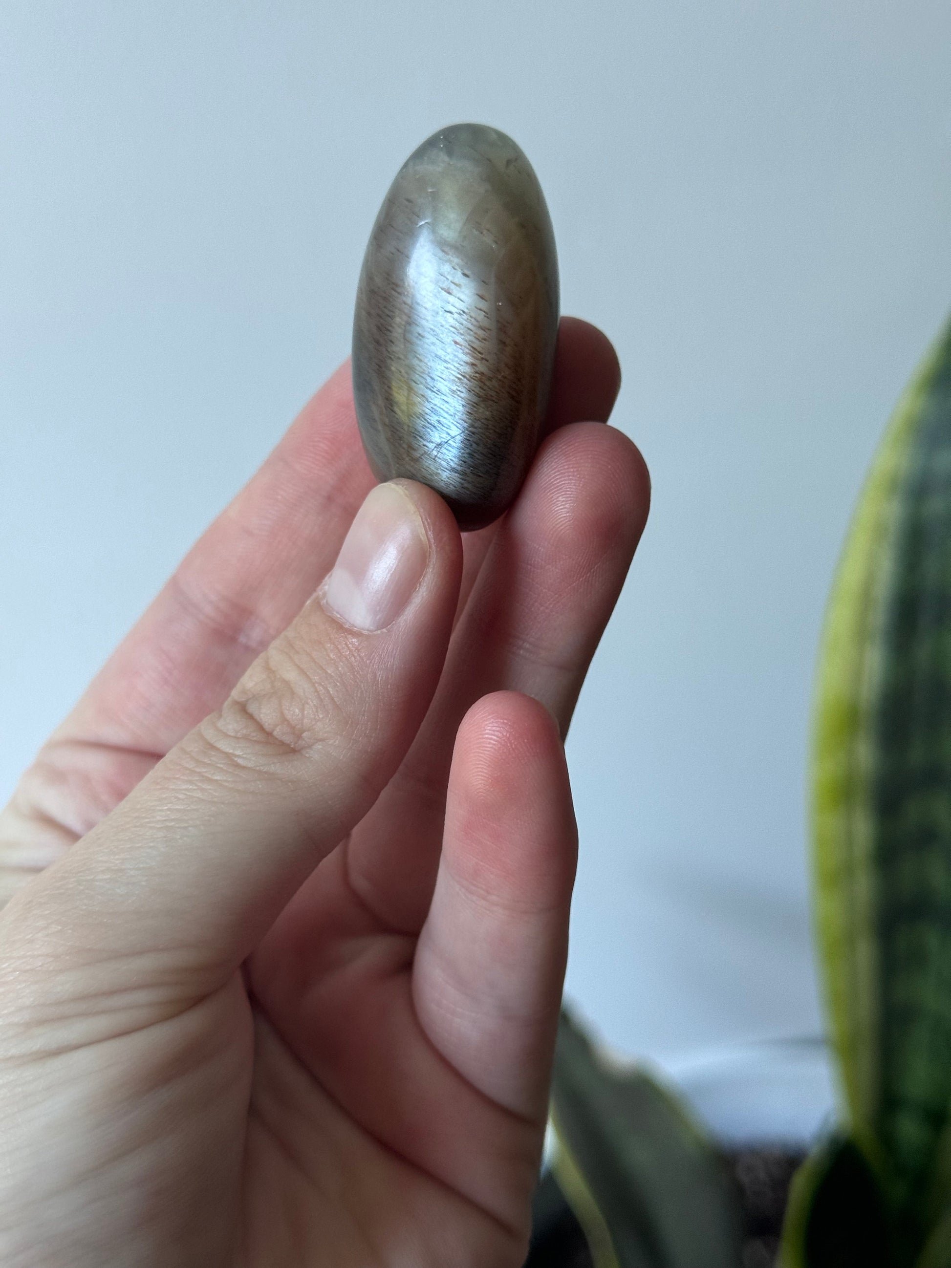 Gorgeous Chocolate Moonstone Shiva with White Flash | Brown Moonstone Oval