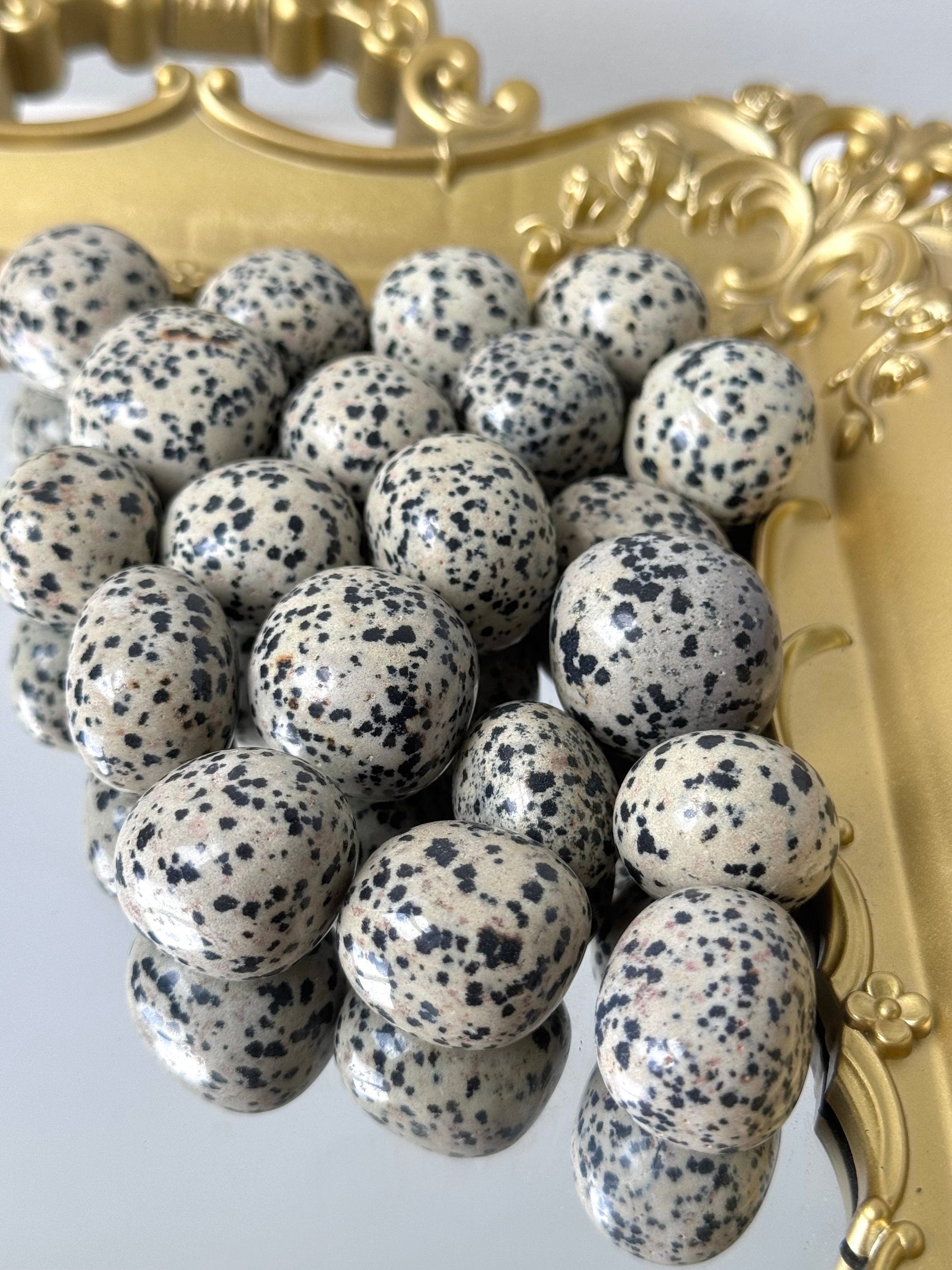 Large Dalmatian Jasper Tumbled Stones | (1) One Dalmatian Jasper Tumble