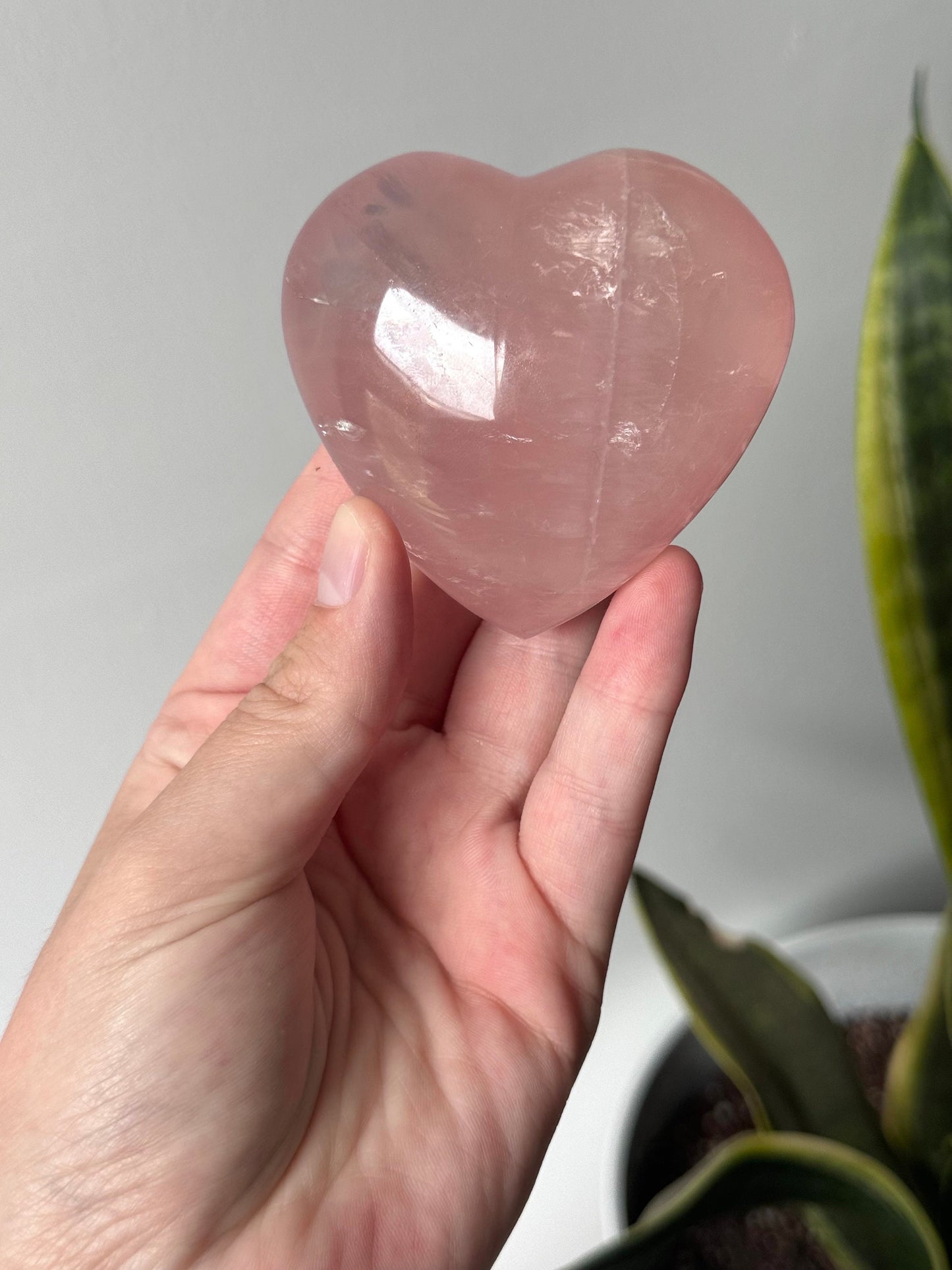 High Quality Rose Quartz Heart Carving with Star Flash | Gemmy Rose Quartz Puffy Heart Asterism