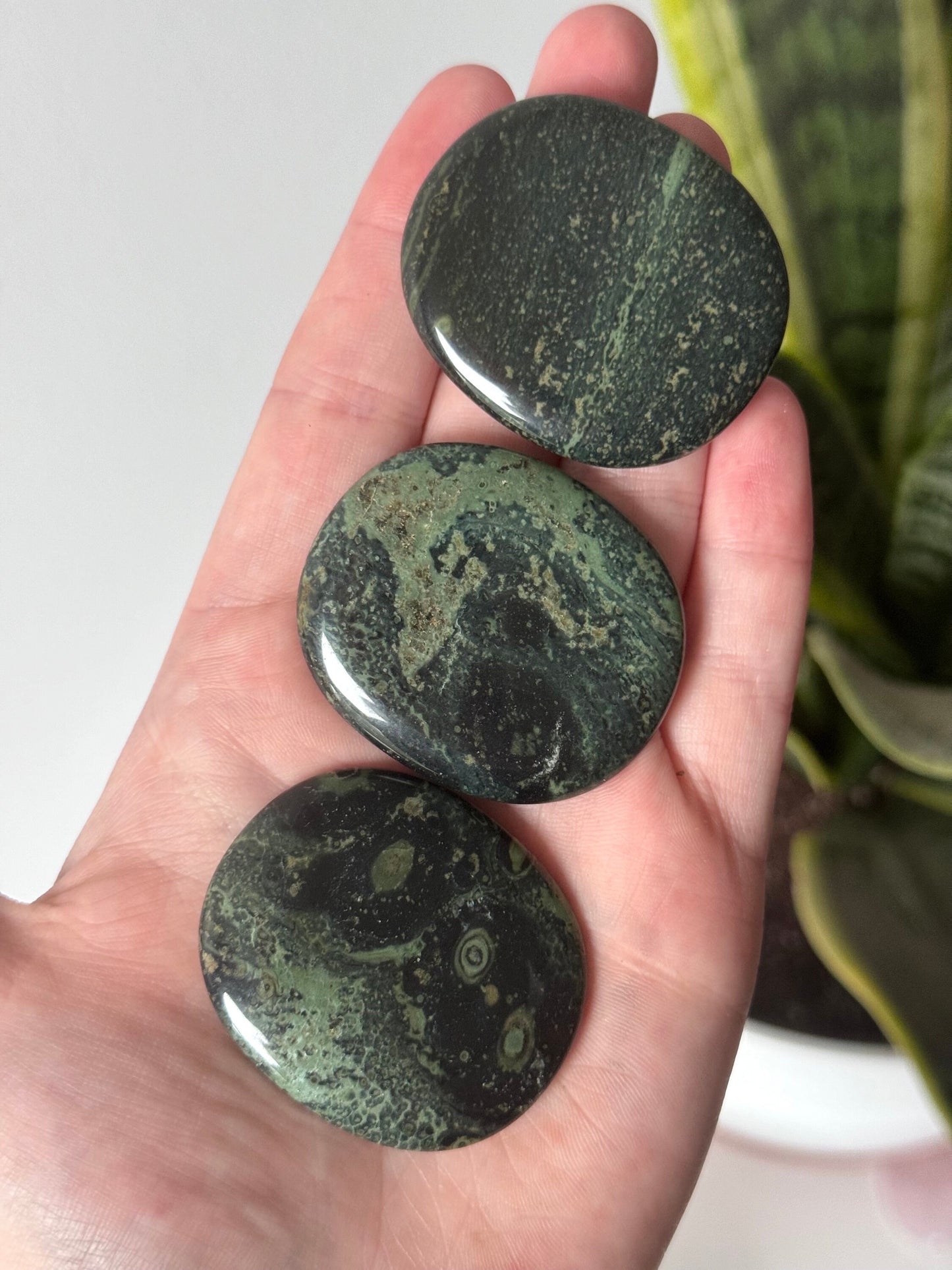 Beautiful Kambaba Jasper Flat Stones | One Kambaba Jasper Round Palm Stone Pocket Stone