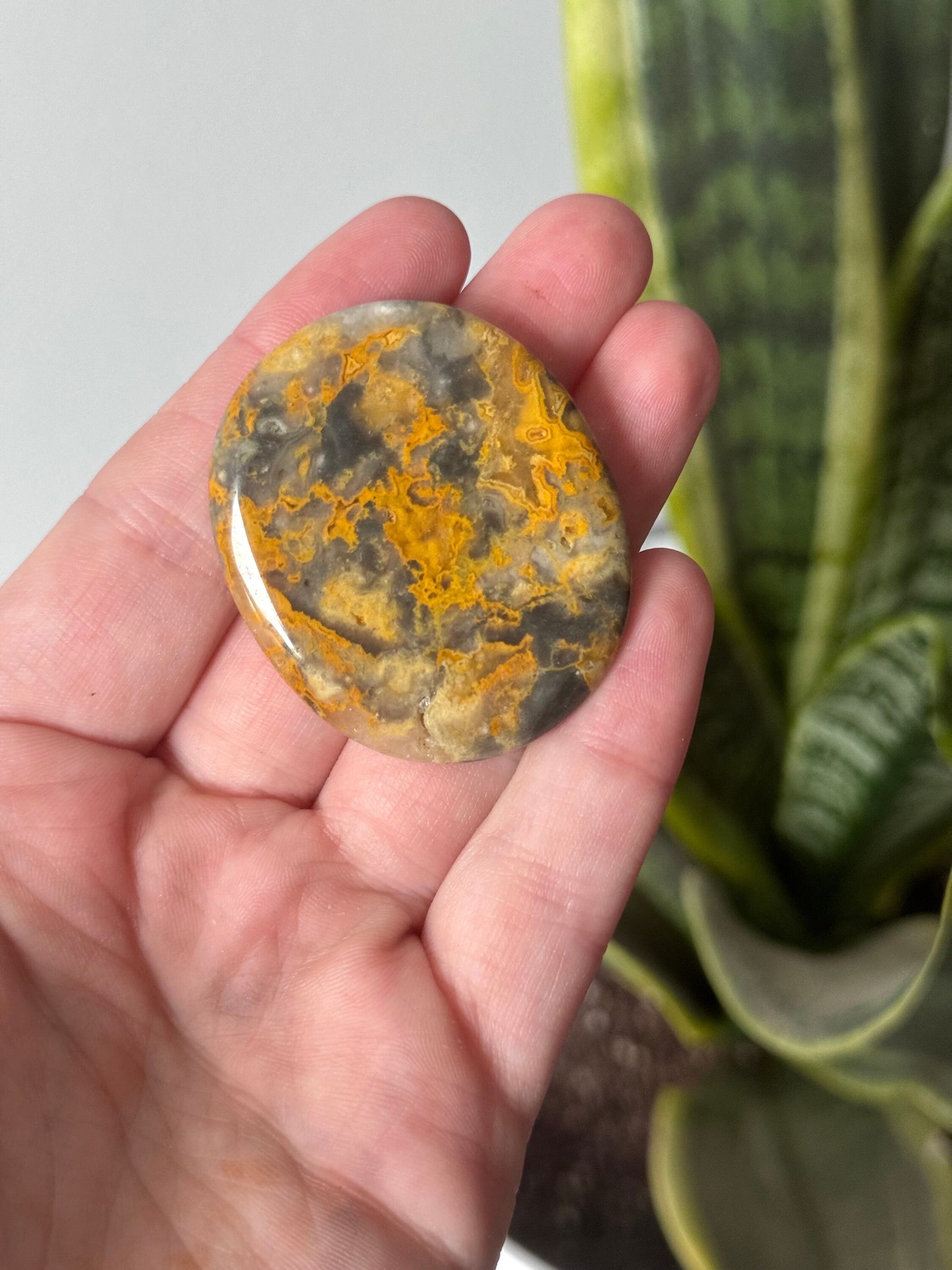 Beautiful Crazy Lace Agate Flat Stone | Round Crazy Lace Agate Palm Stone Skipping Stone Pocket Stone