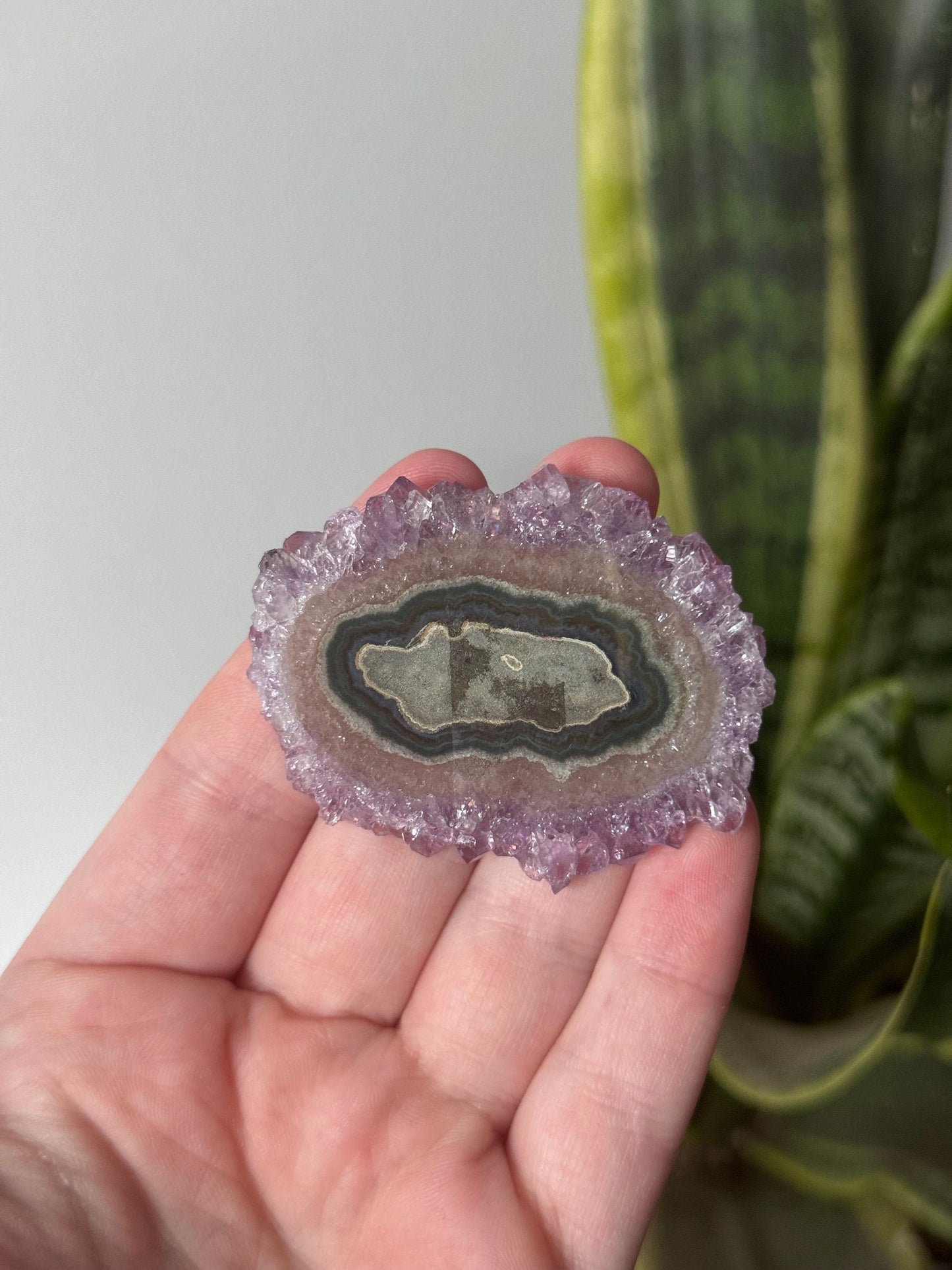 Gorgeous Druzy Amethyst Stalactite Slice from Uruguay