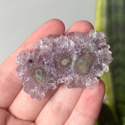 Gorgeous Druzy Amethyst Stalactite Slice from Uruguay